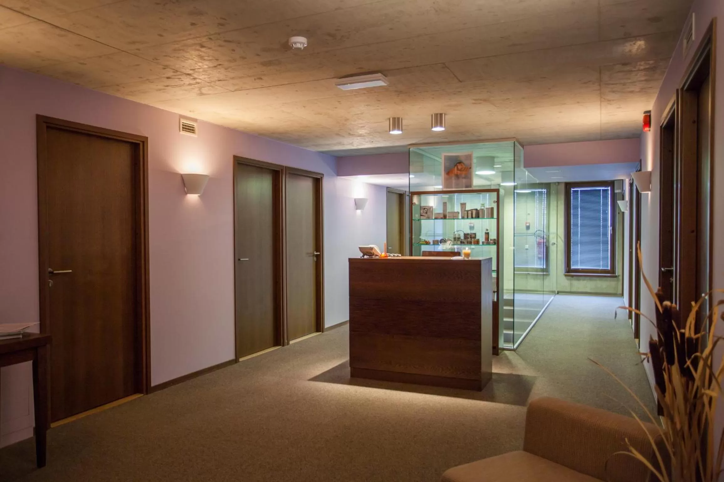 Massage in Johan Design & SPA Hotel