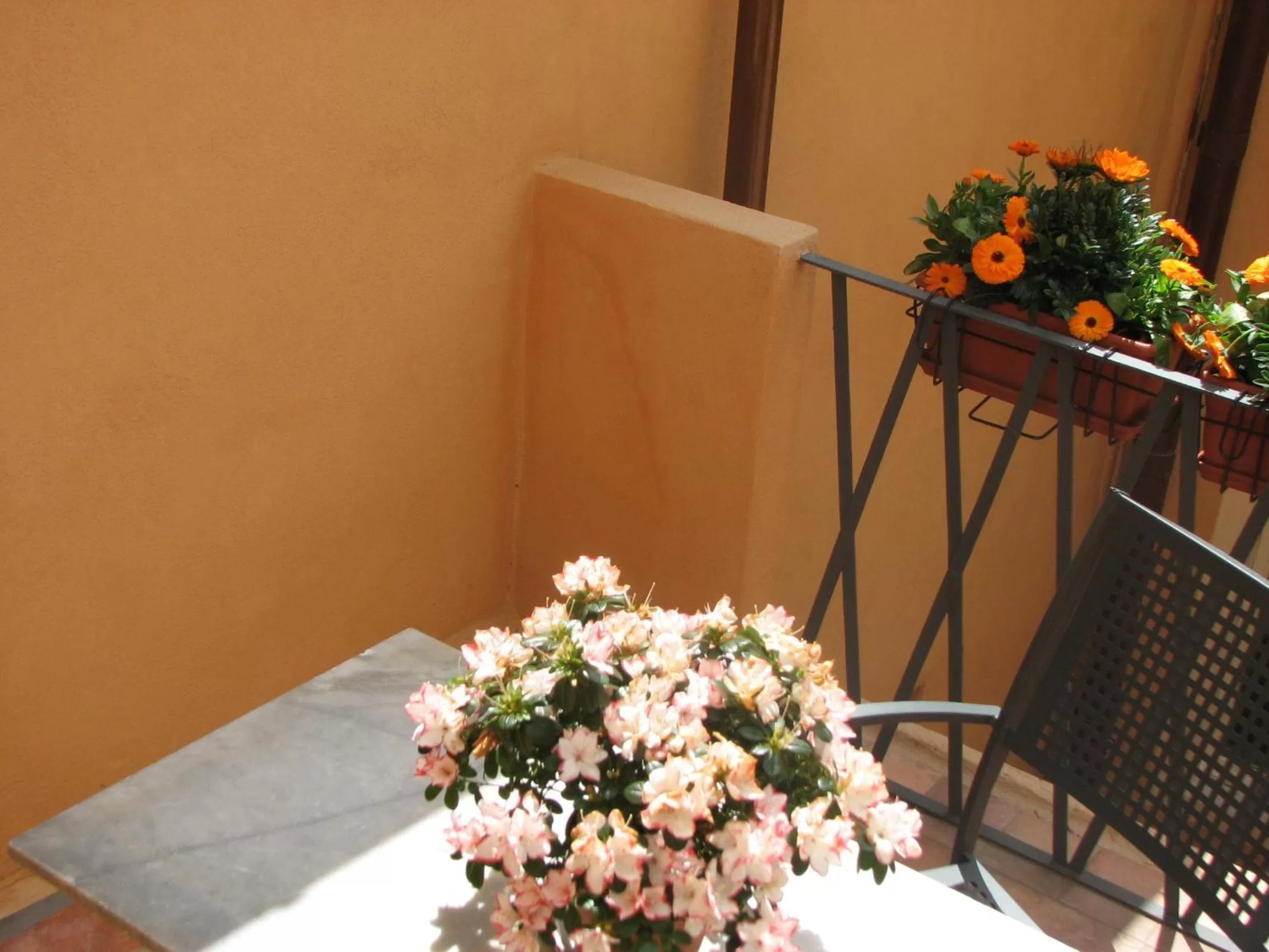 Balcony/Terrace in Locanda Guidi