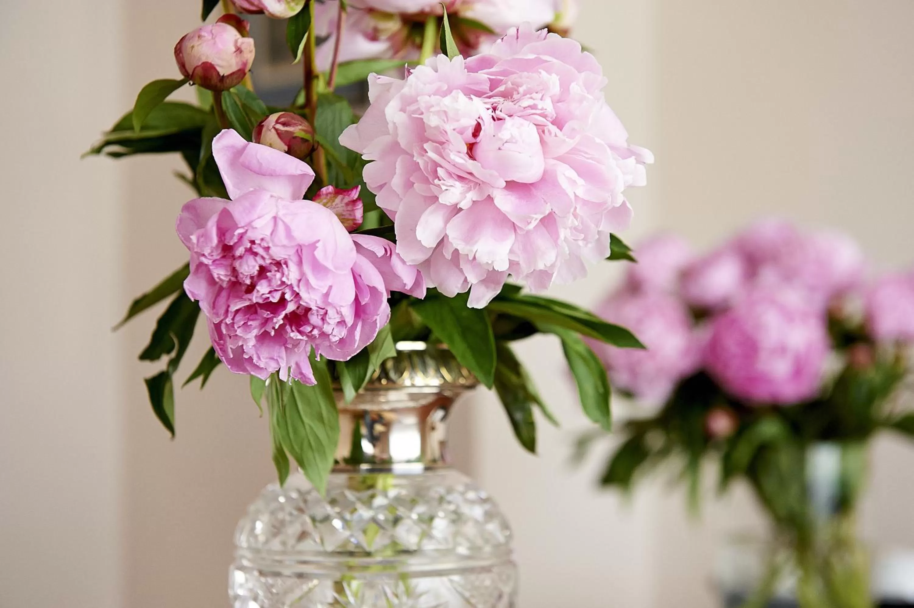 Decorative detail in Hotel Admiral am Kurpark