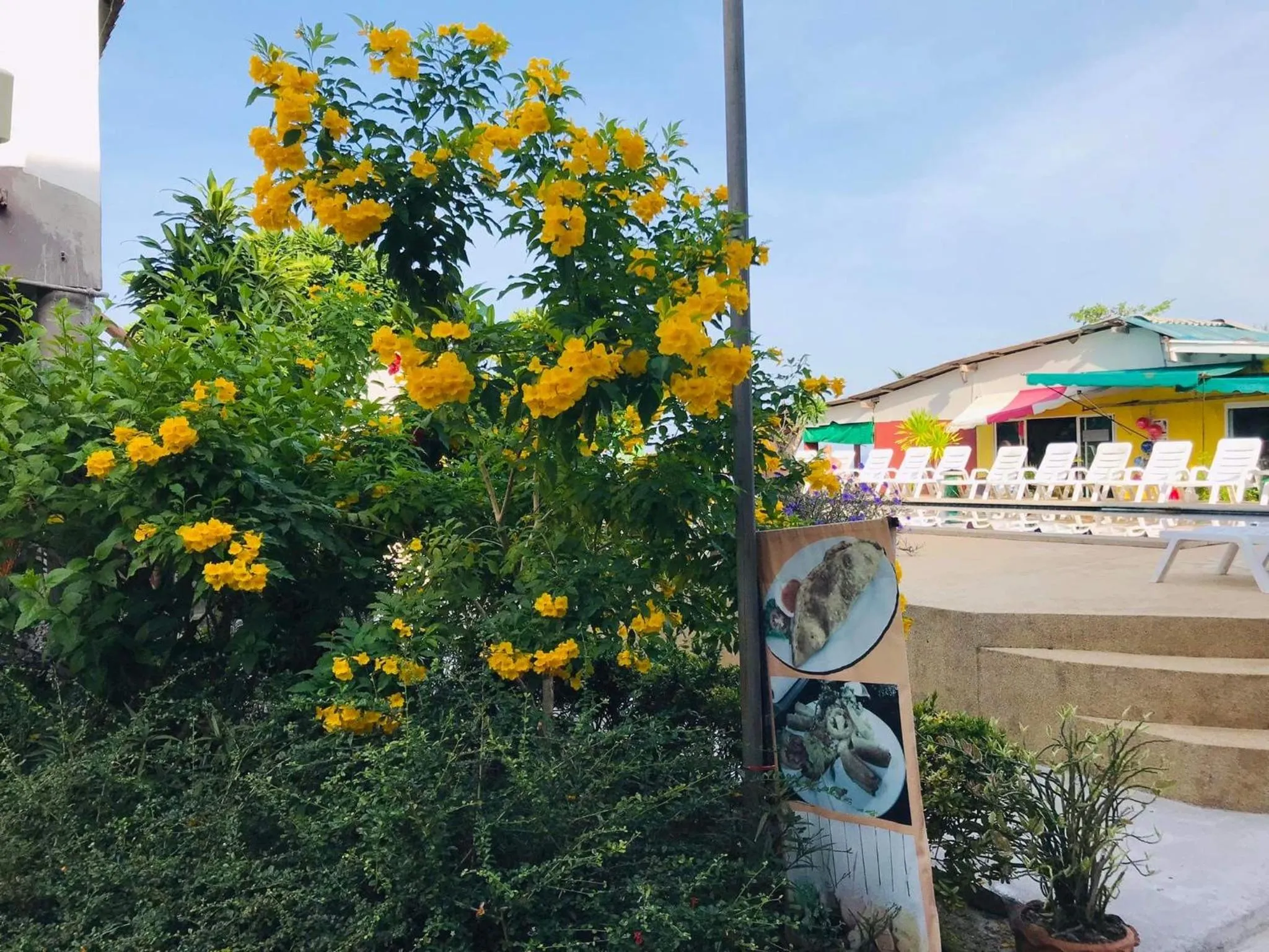 Garden view in Lanta Garden Home