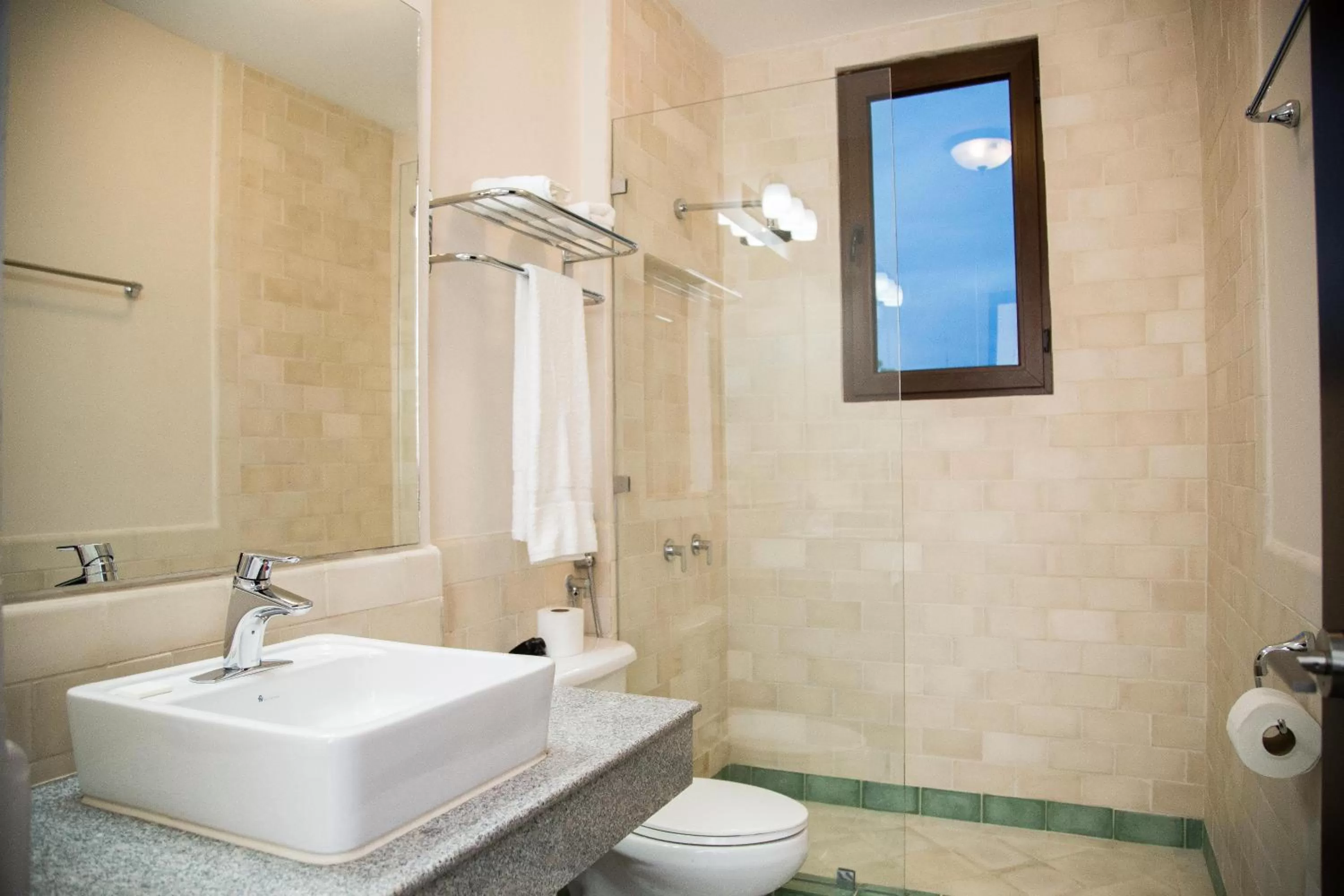 Bathroom in Hotel Presidente Las Tablas