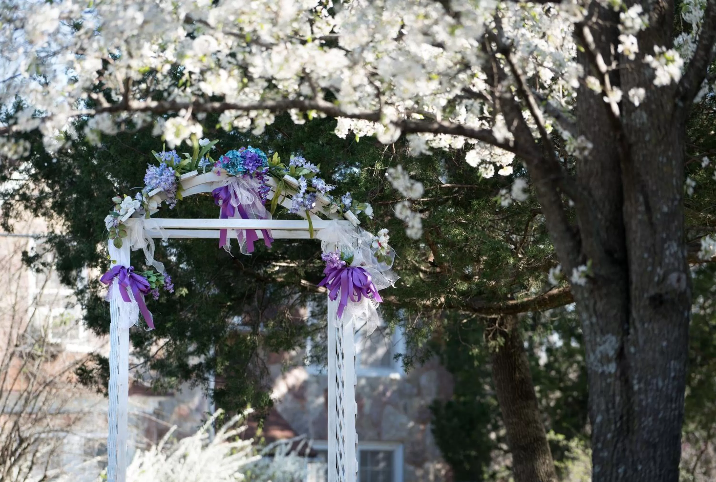 Garden, Other Activities in Rock Cottage Gardens B&B