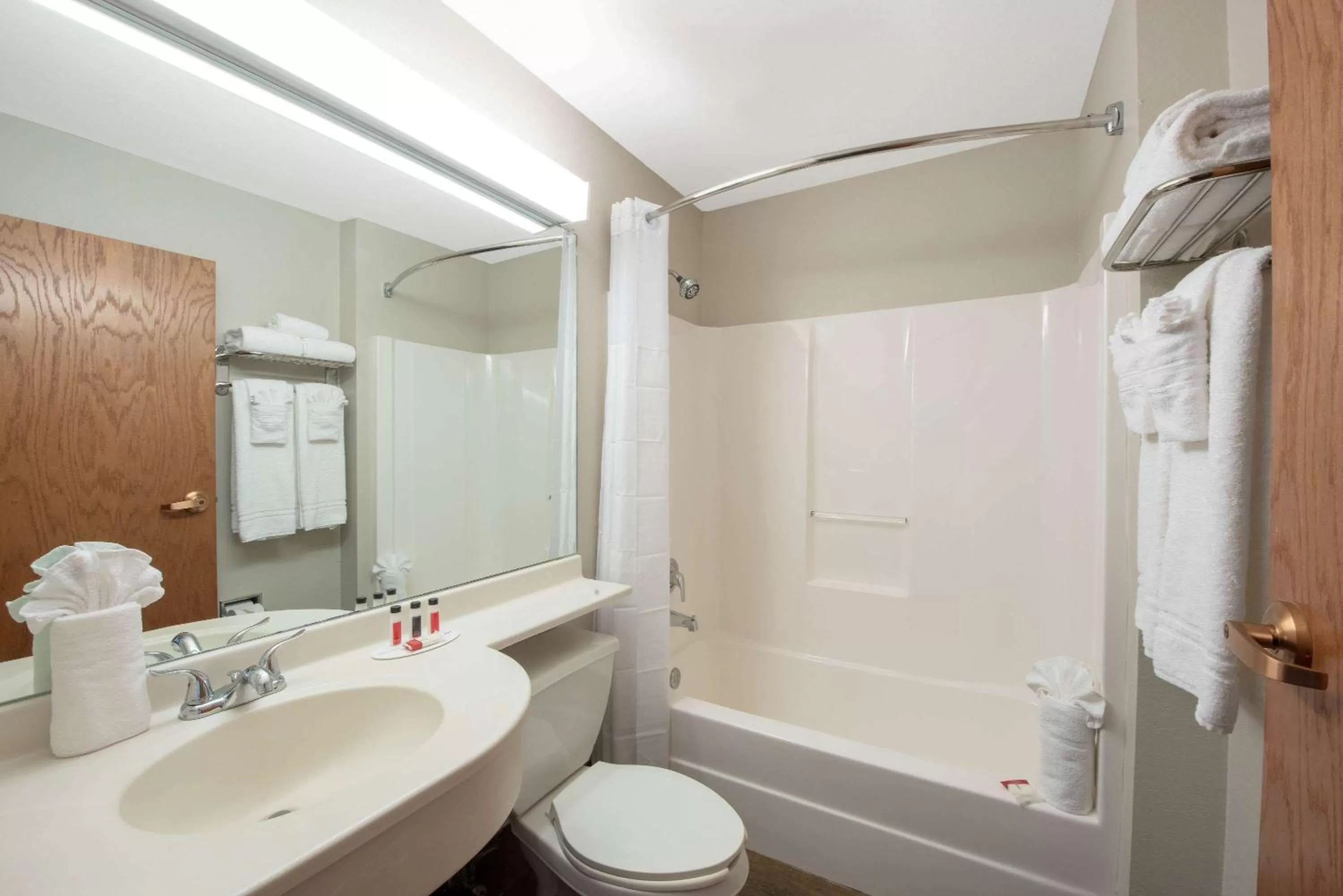 Bathroom in Microtel Inn & Suites by Wyndham Springfield
