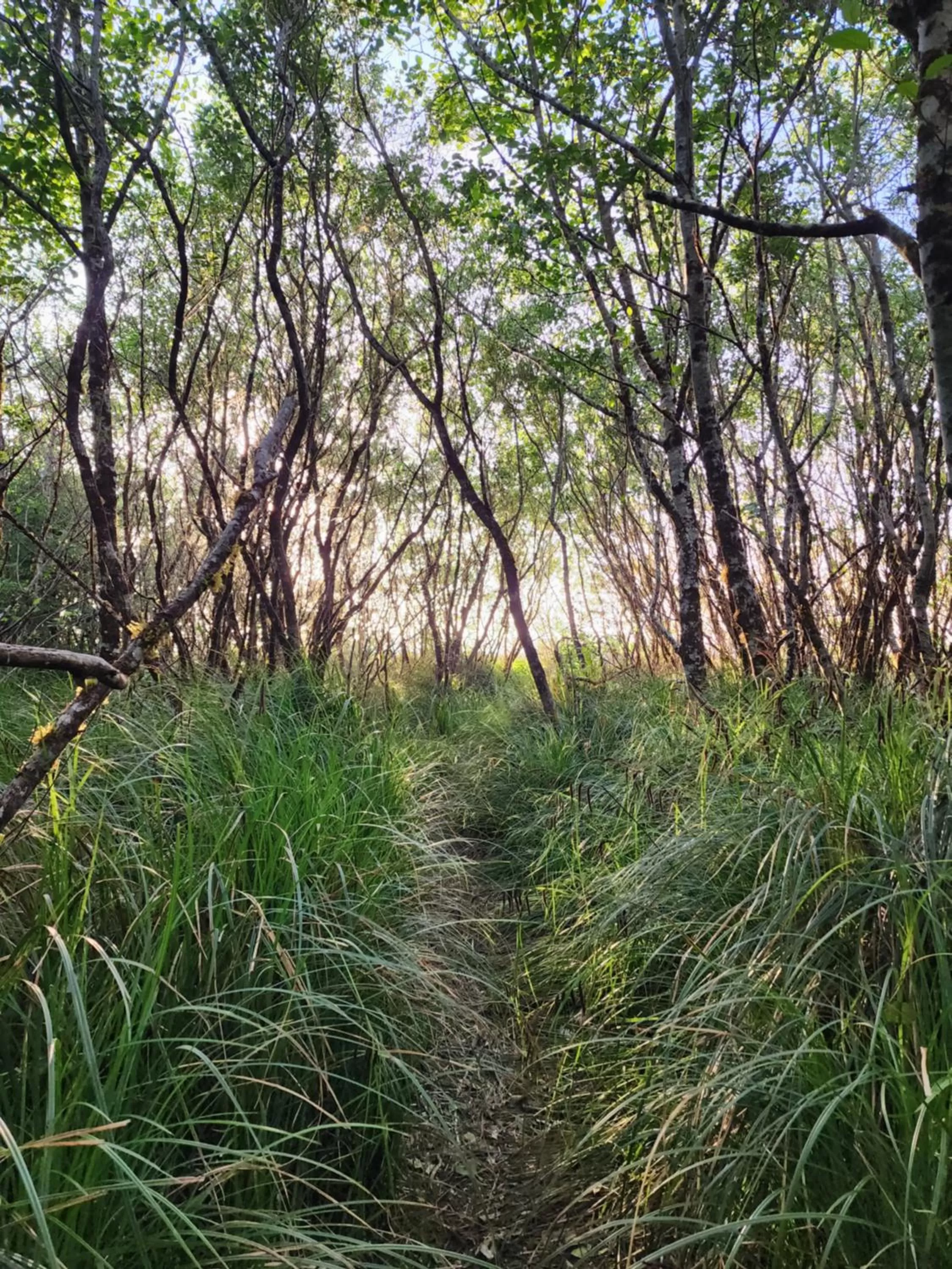 Beach in Plainview Motel