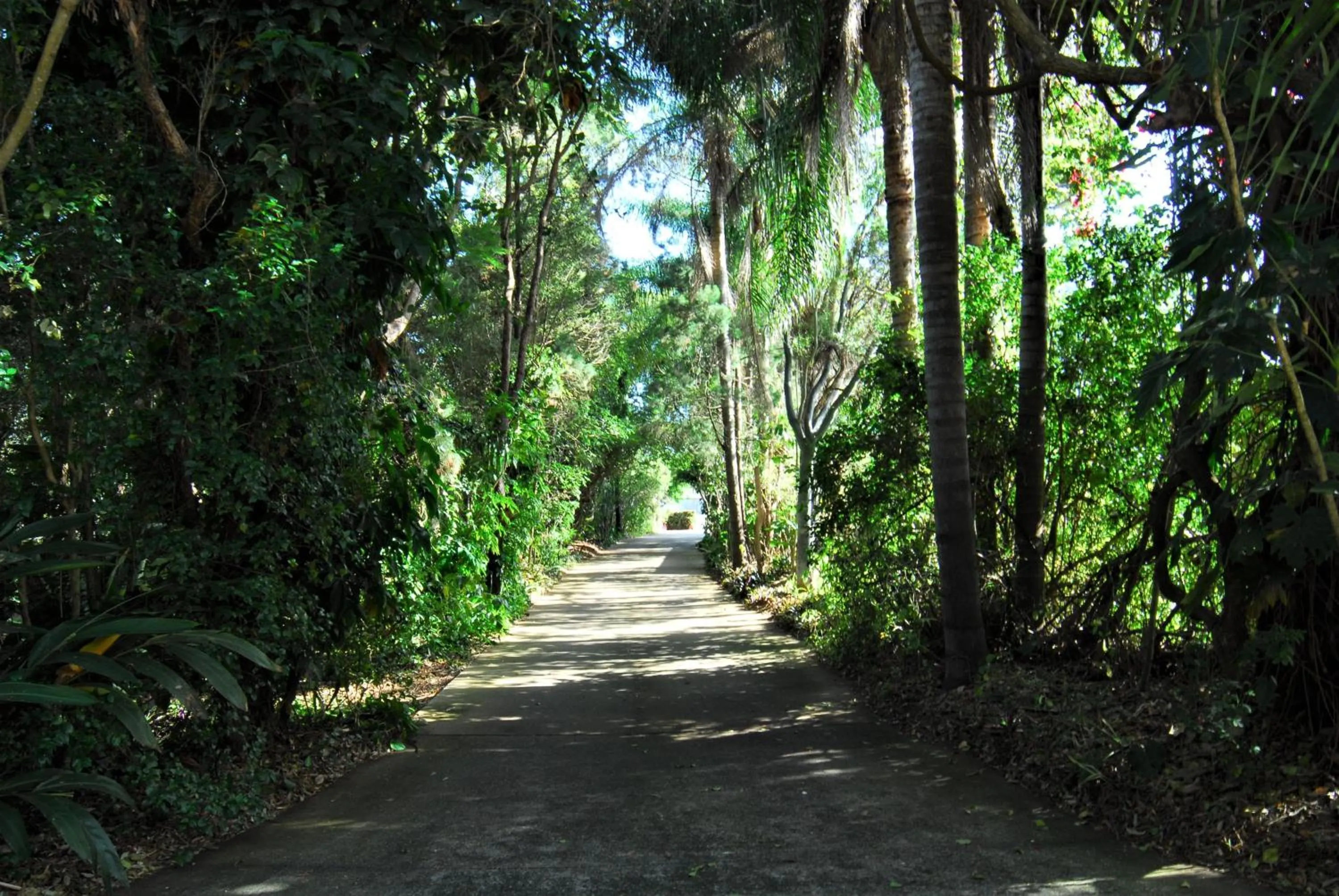 Facade/entrance in Emeraldene Inn & Eco-Lodge