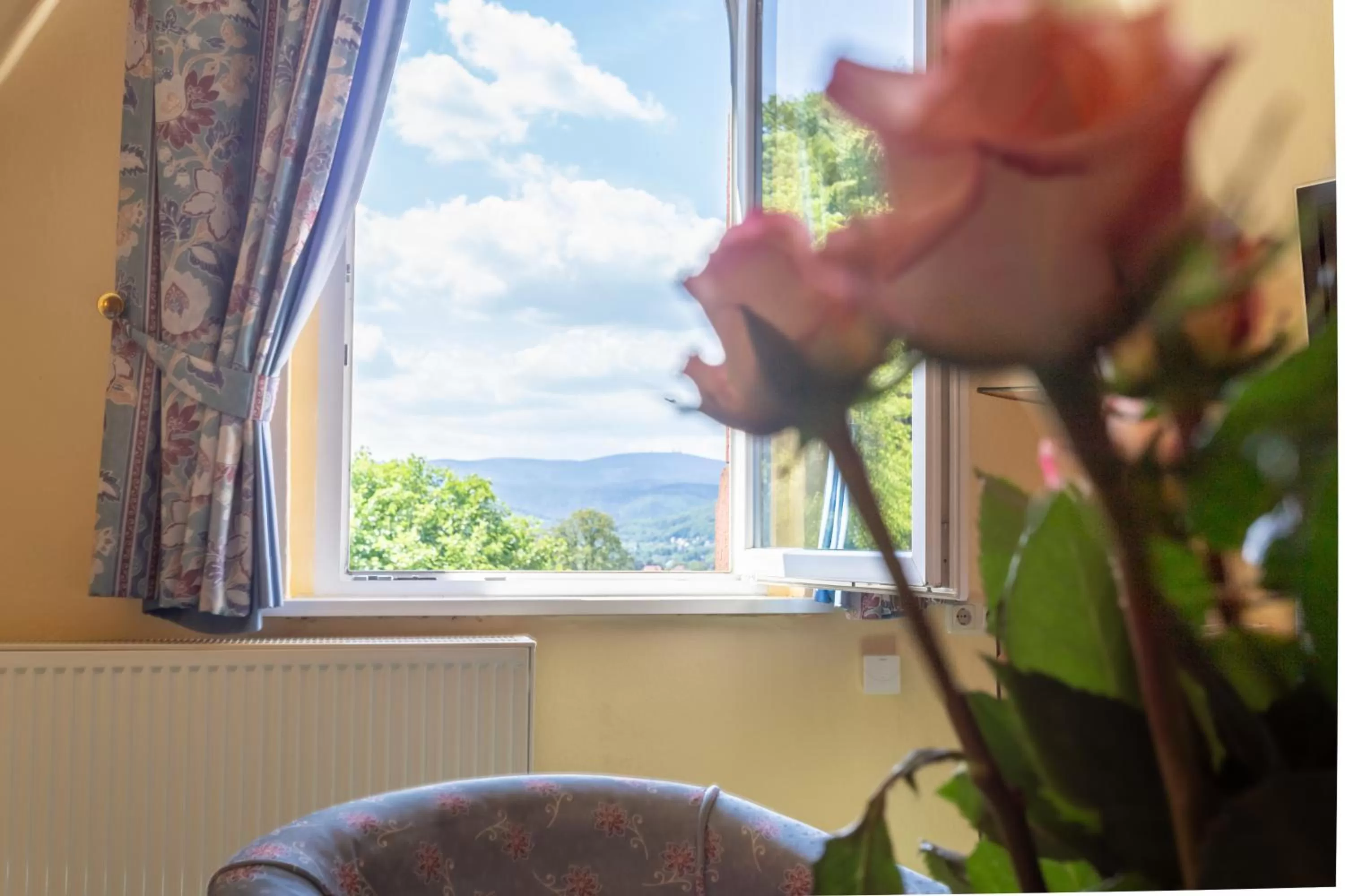 Decorative detail in Hotel Erbprinzenpalais