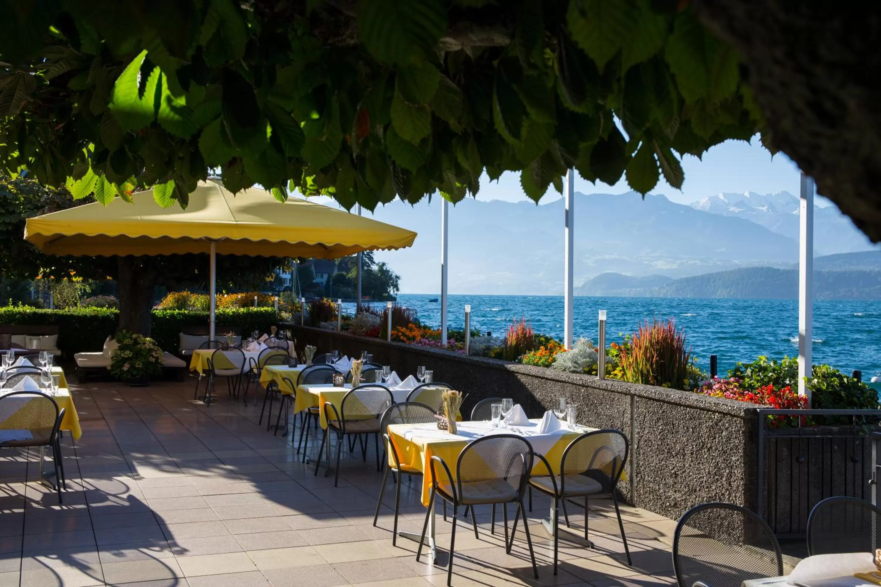 Restaurant/places to eat in Hotel Restaurant Bellevue au Lac