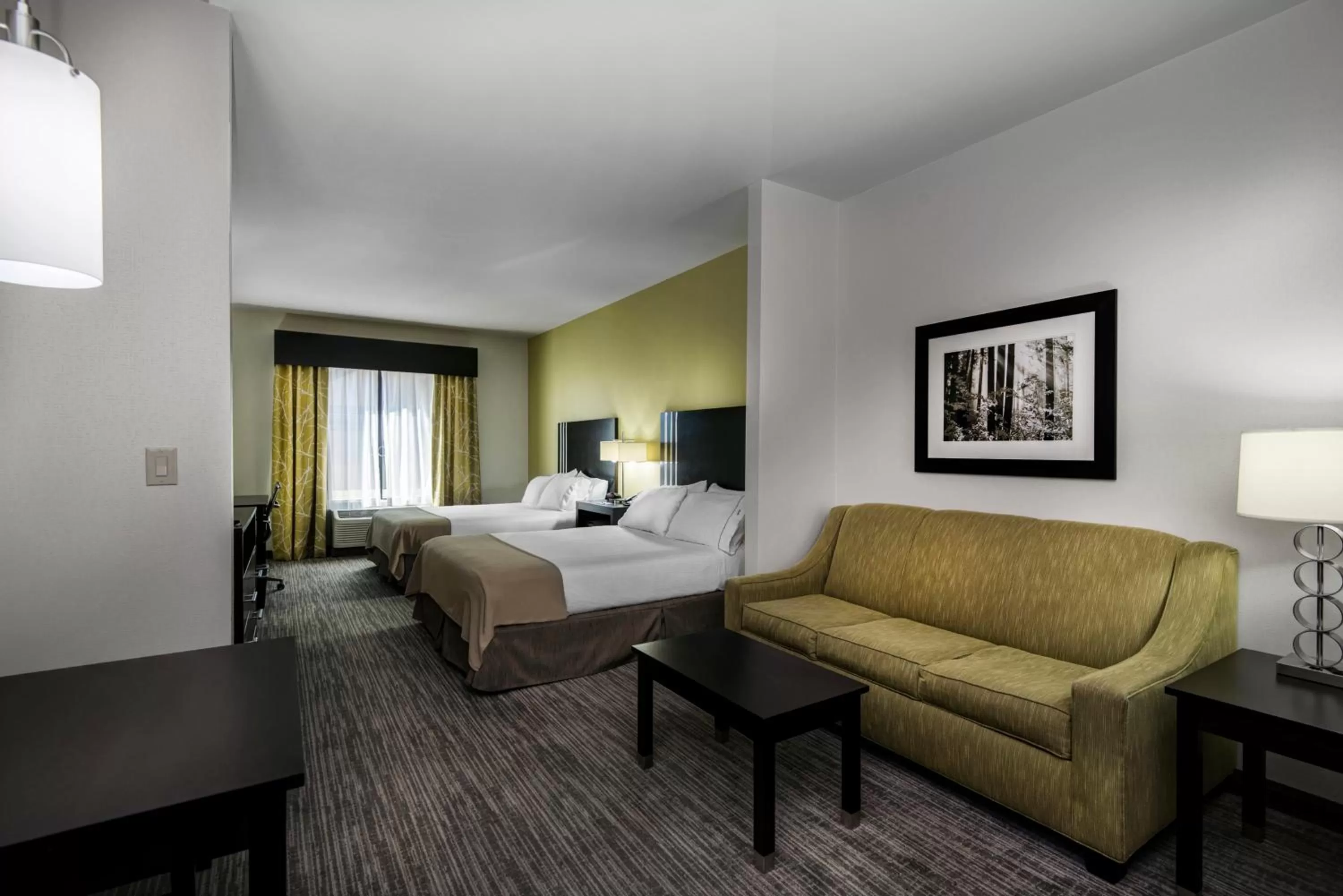 Queen Suite in Holiday Inn Express Conway, an IHG Hotel