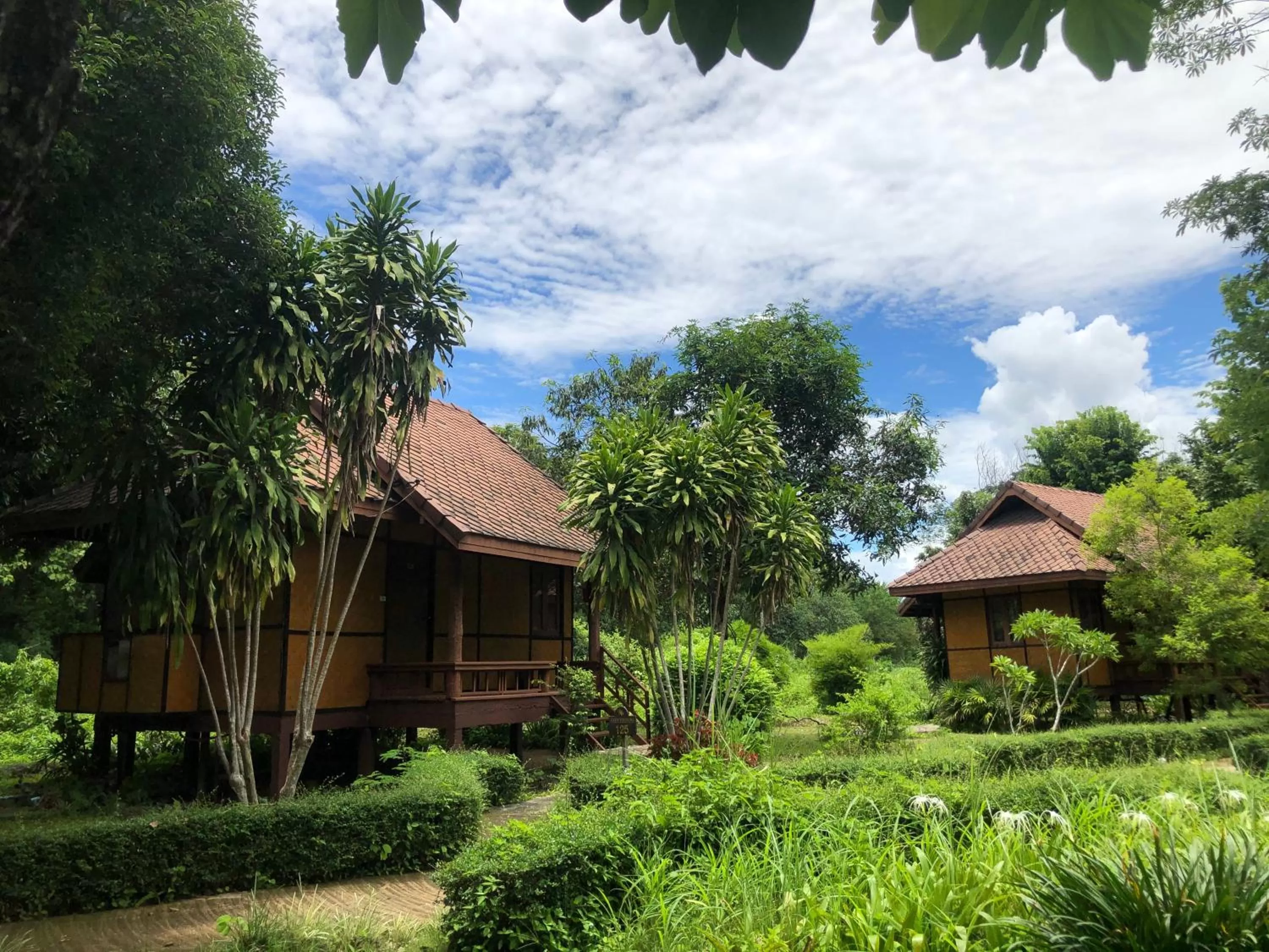 Garden view in Baan Krating Pai Resort - SHA Plus