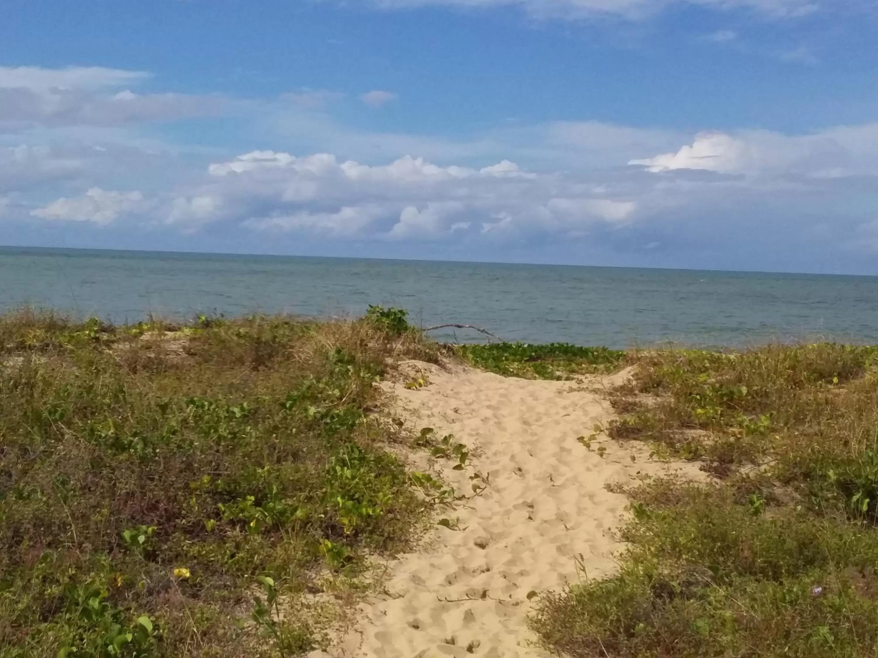 Beach in The York Beachfront Holiday Apartments
