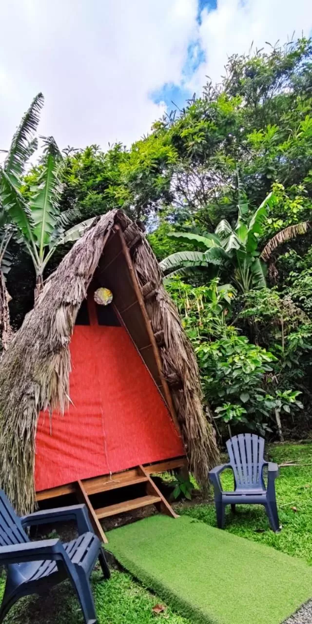 Property building in Centro Ananda