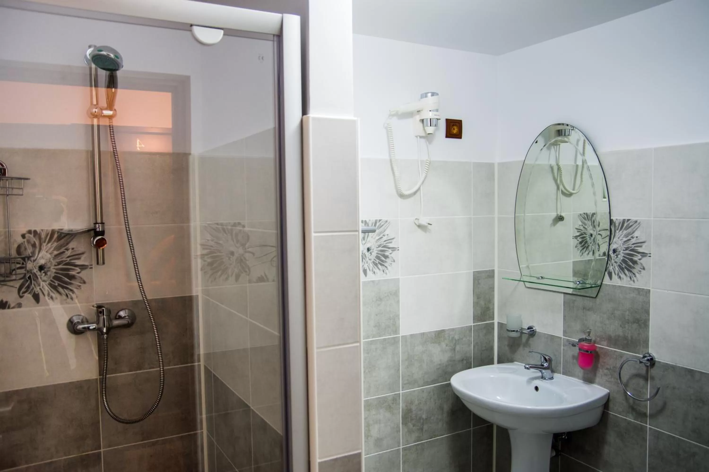 Shower, Bathroom in Pensiunea SilvAnka