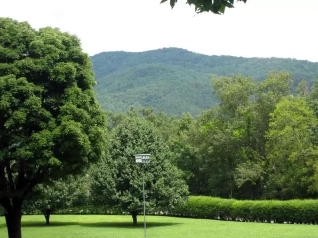 Laughing Heart Lodge