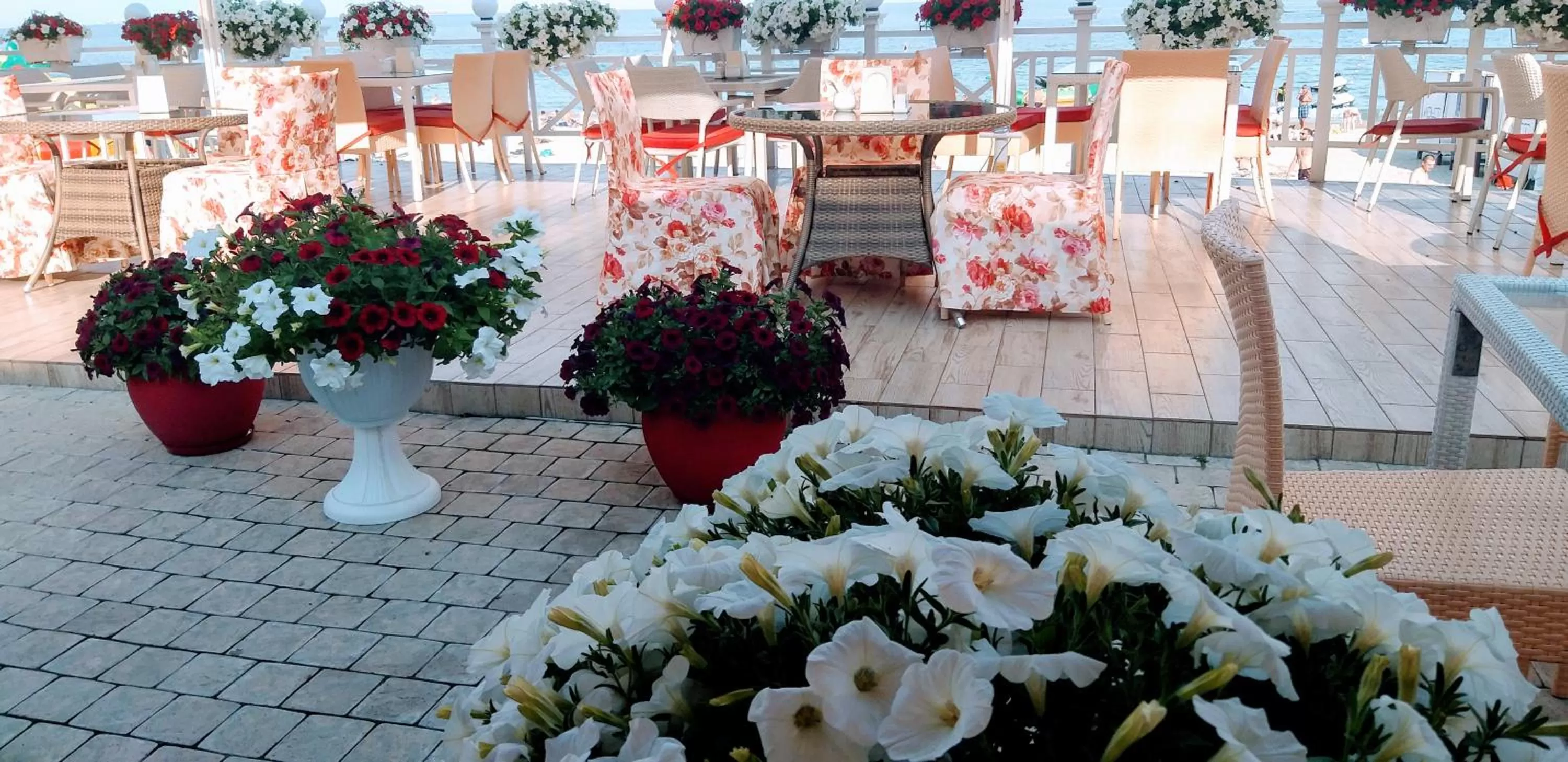 Balcony/Terrace in Shalanda