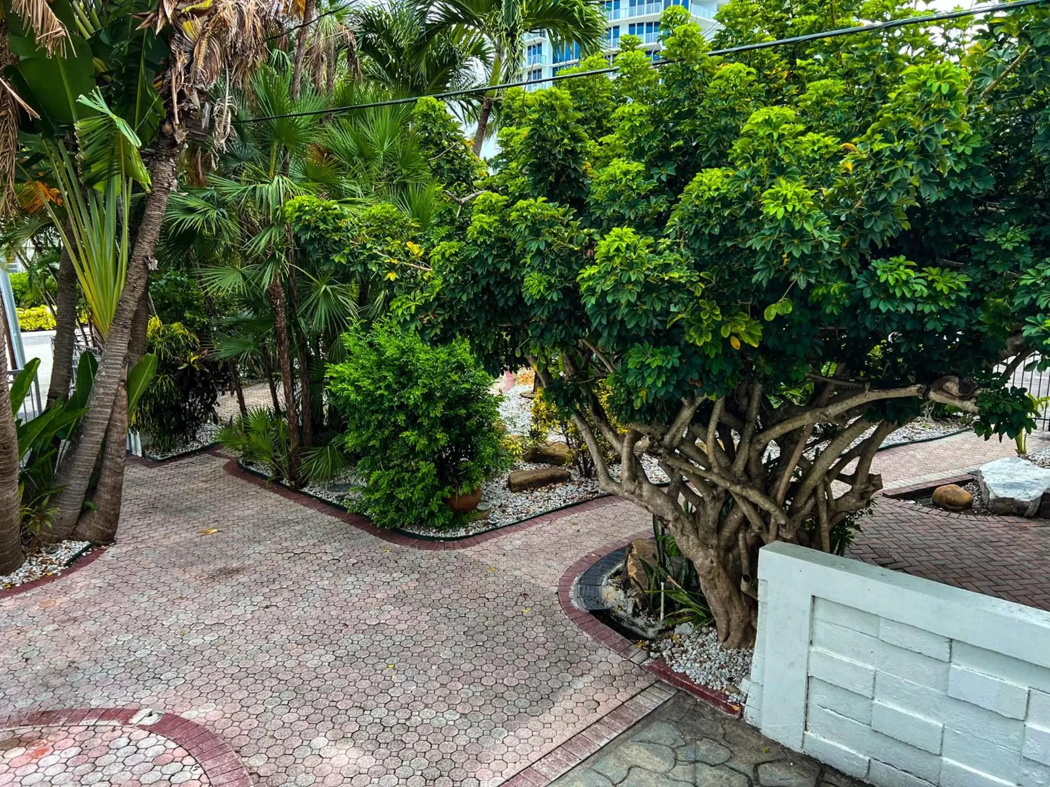 Natural landscape in Tropi Rock