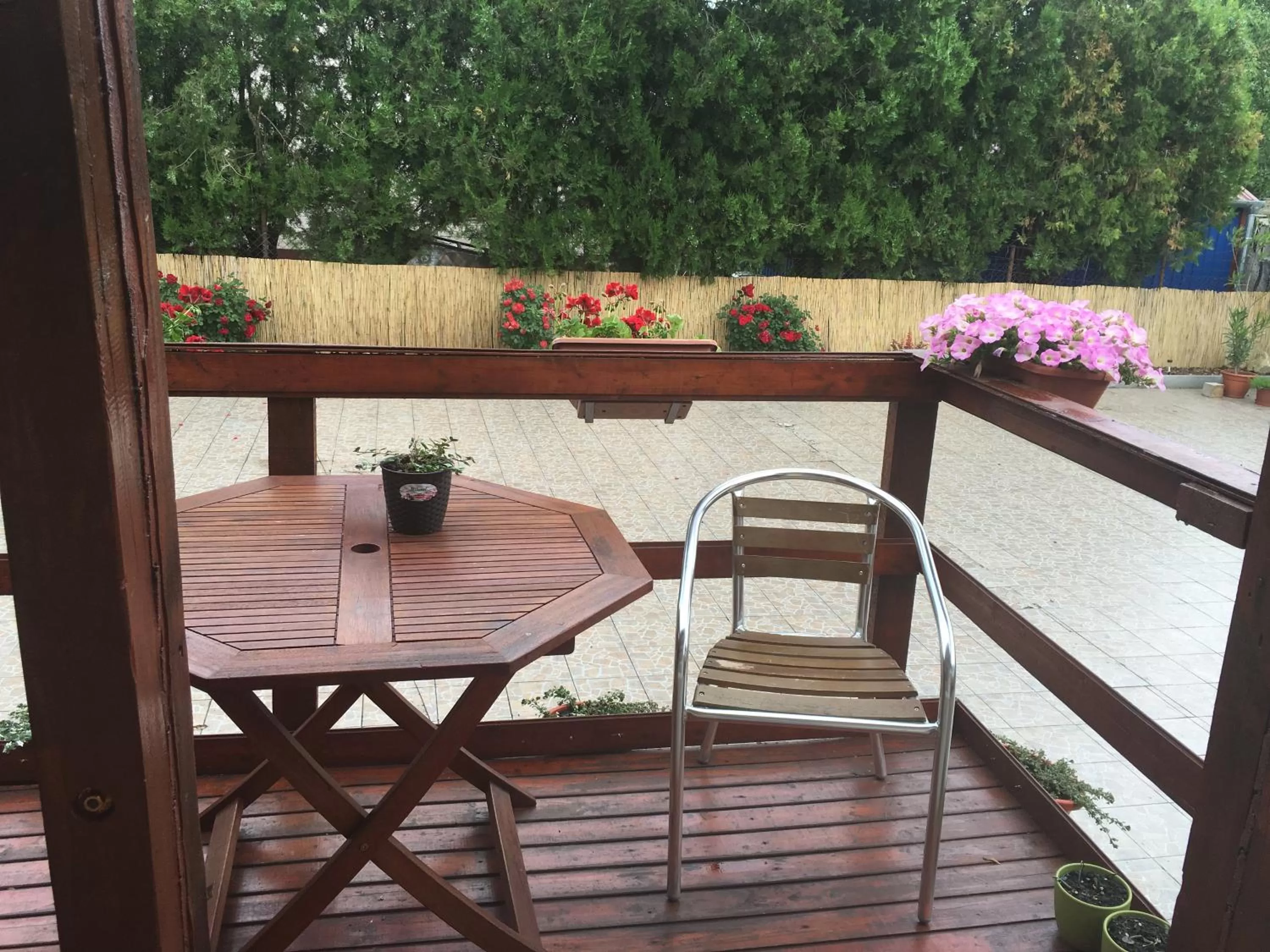 Balcony/Terrace in Abszolút Hotel és Panzió