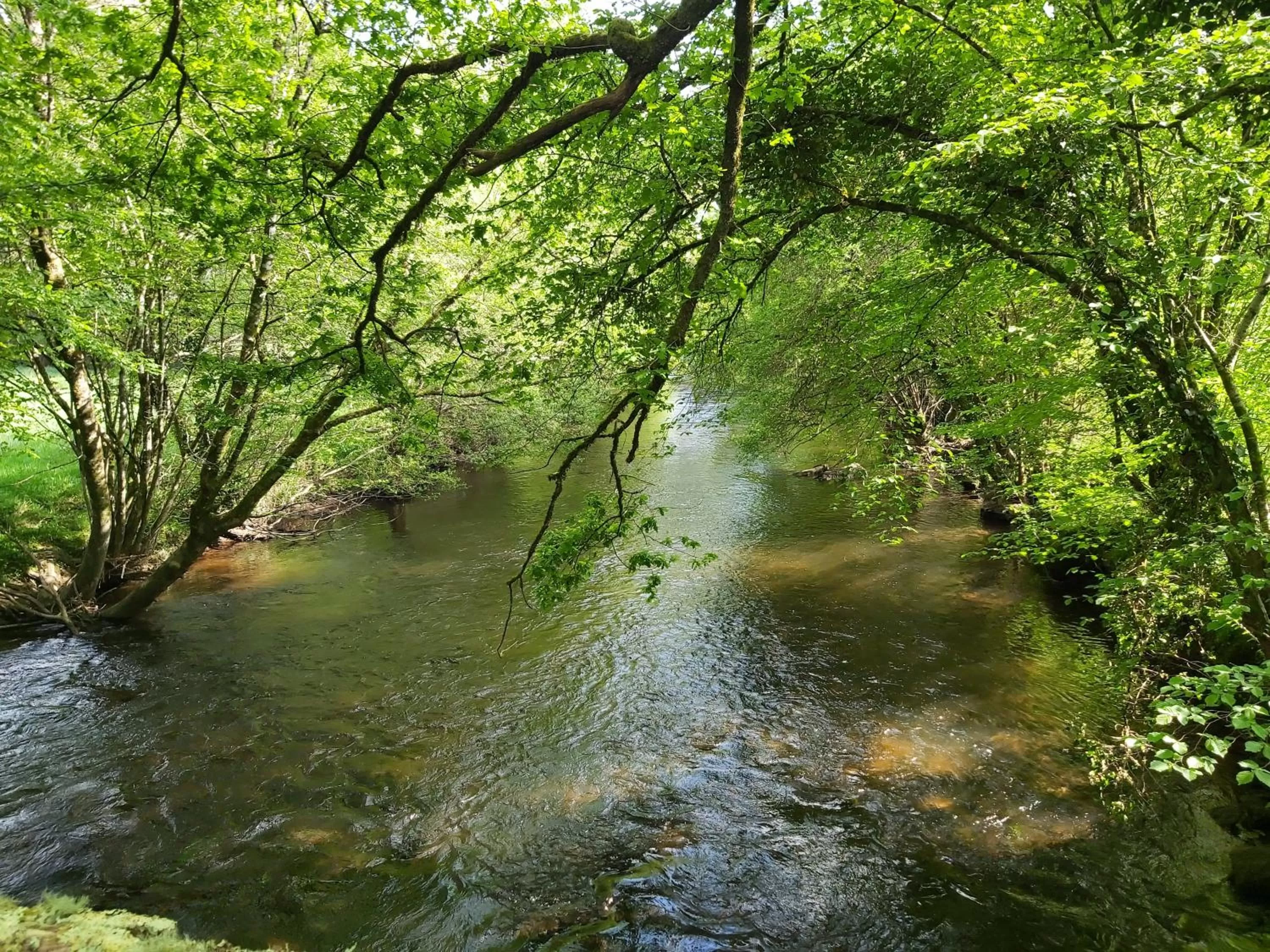 Nearby landmark in LES DEUX RIVIERES - Chambres & Table d'Hôtes -