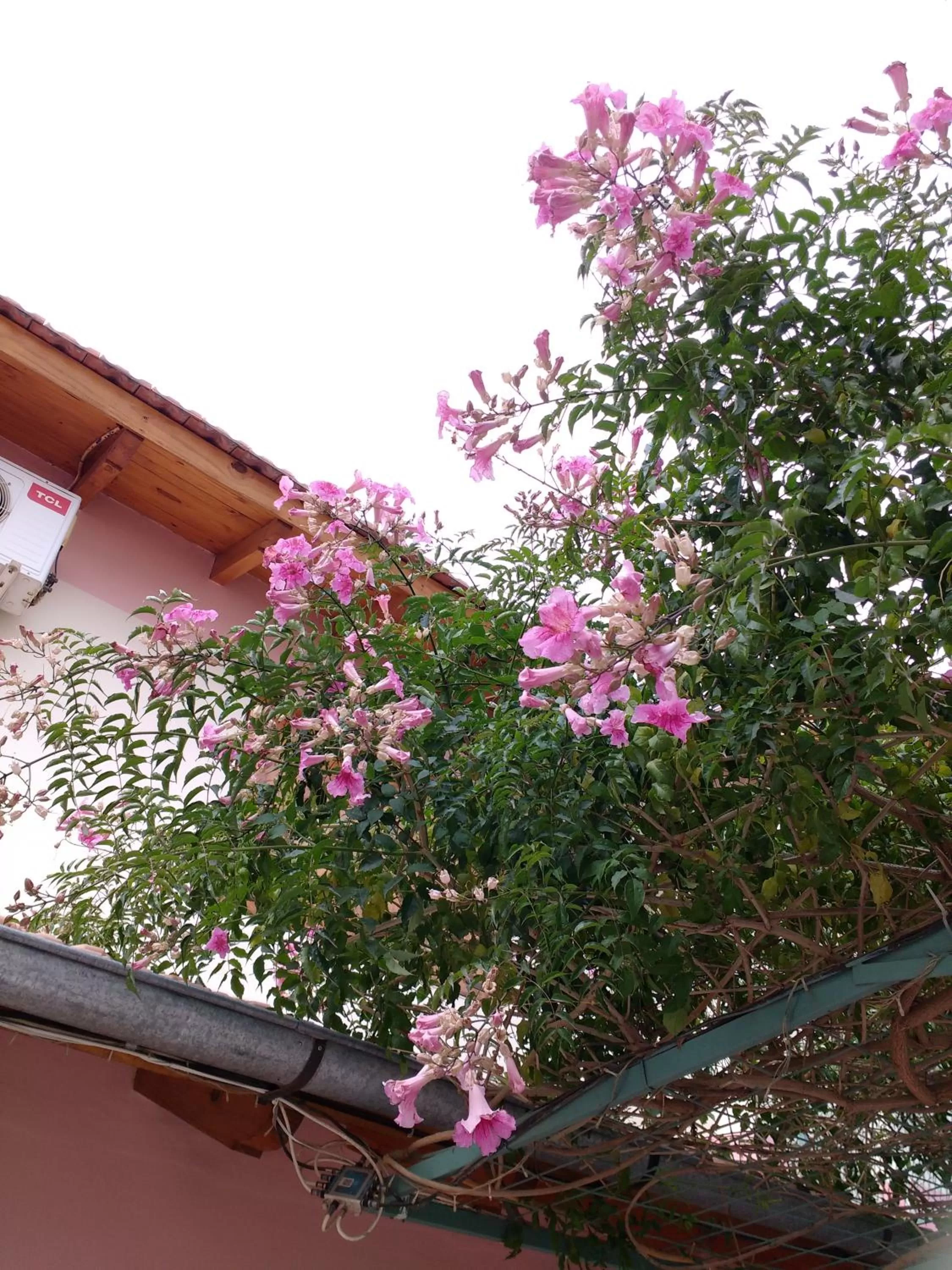 Balcony/Terrace in Complejo Solar Apart