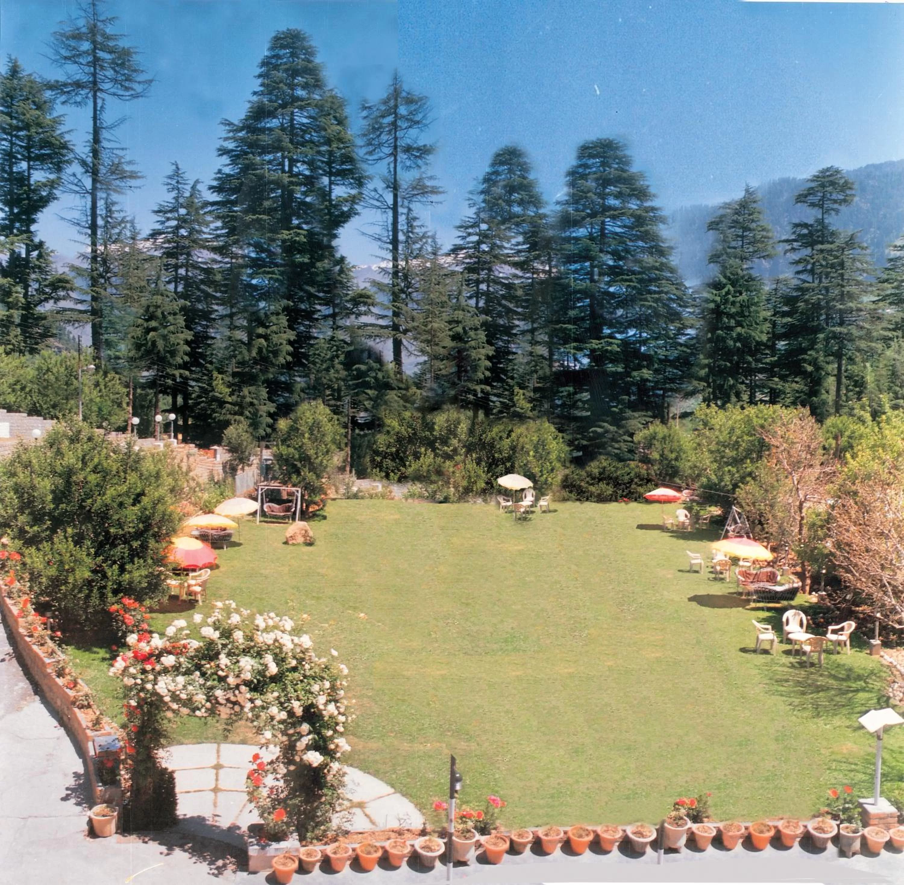 Garden in The Orchard Greens