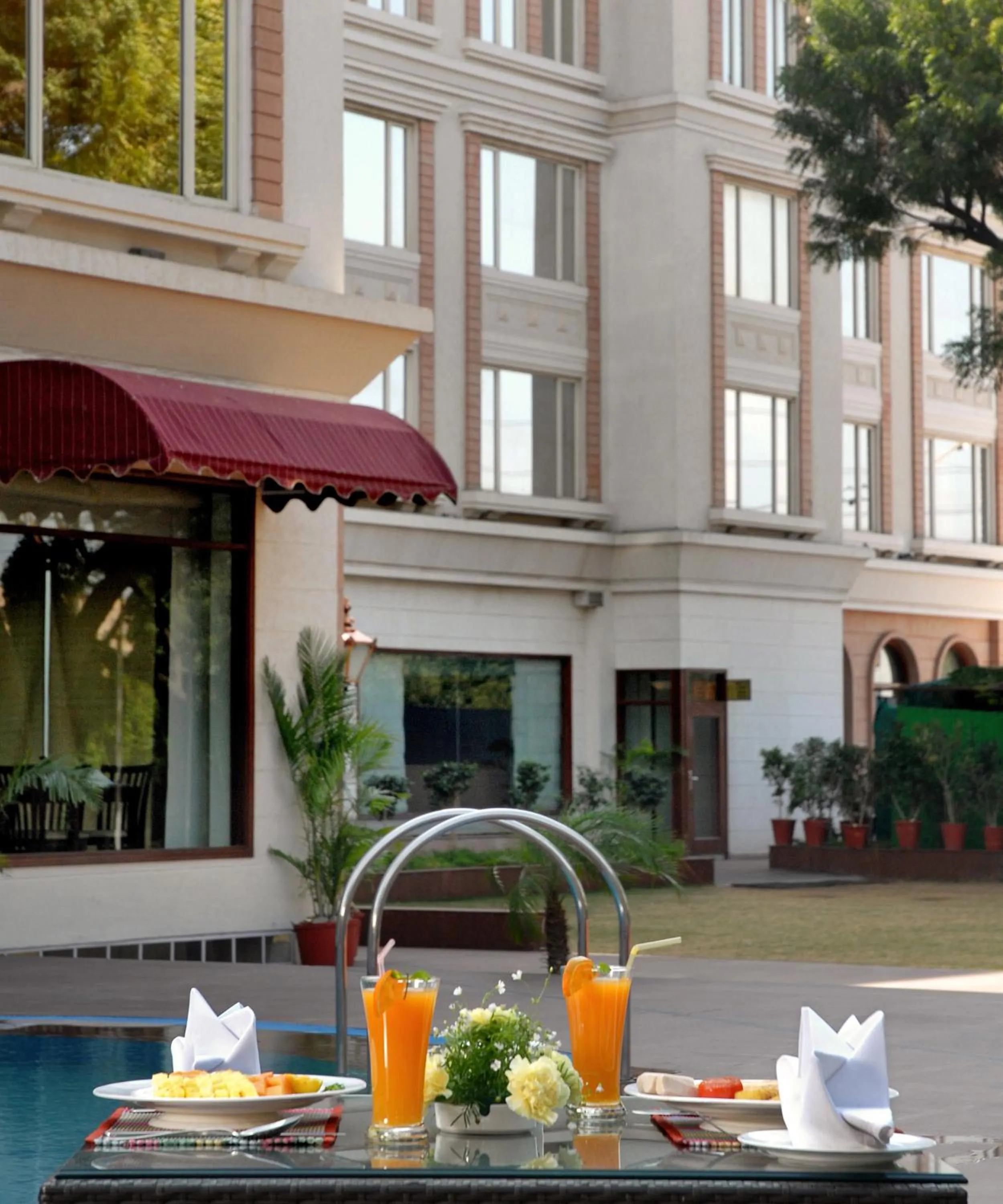 Food and drinks in Park Plaza Jodhpur