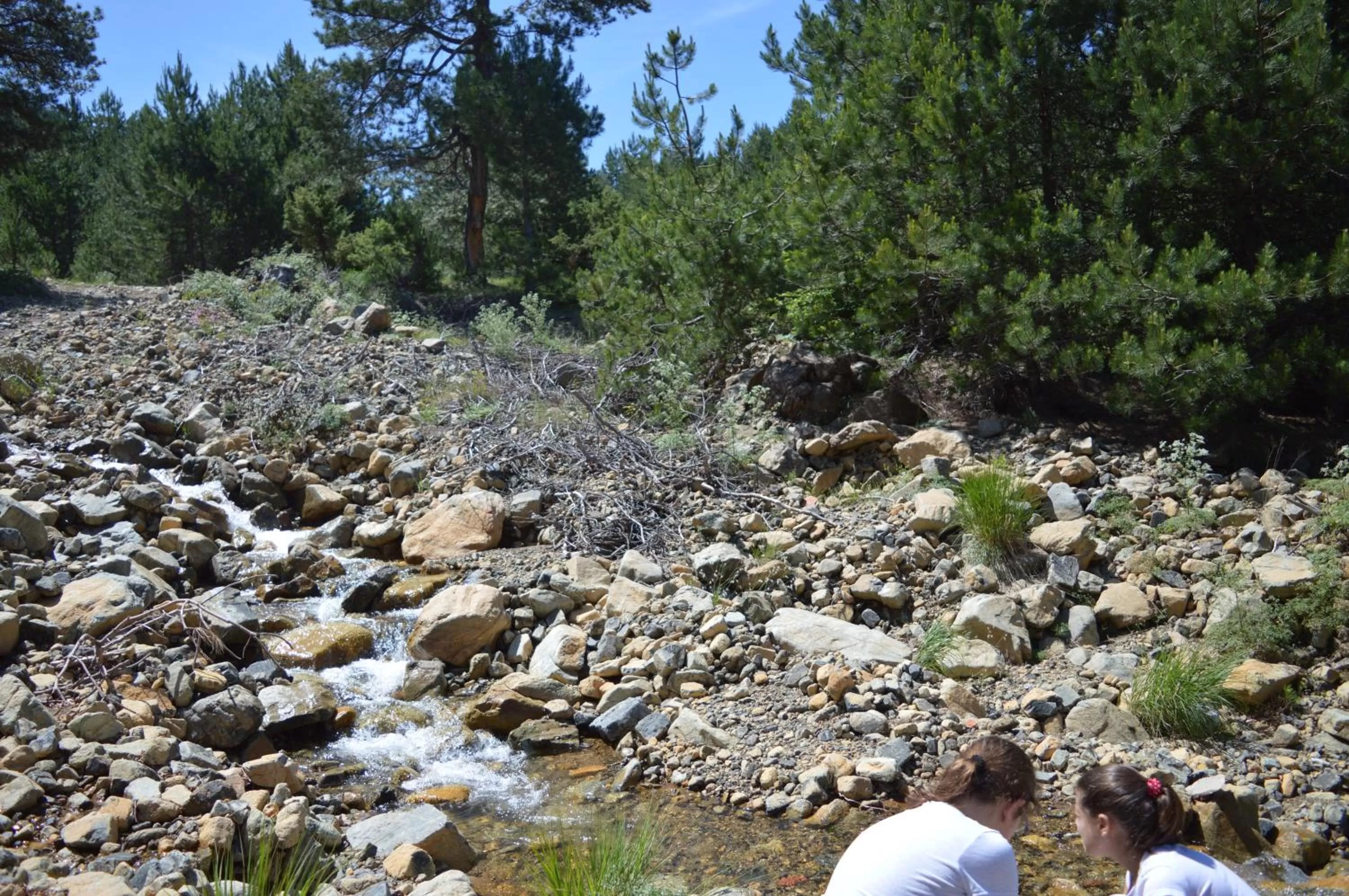 Off site in Sofra E Shpatit