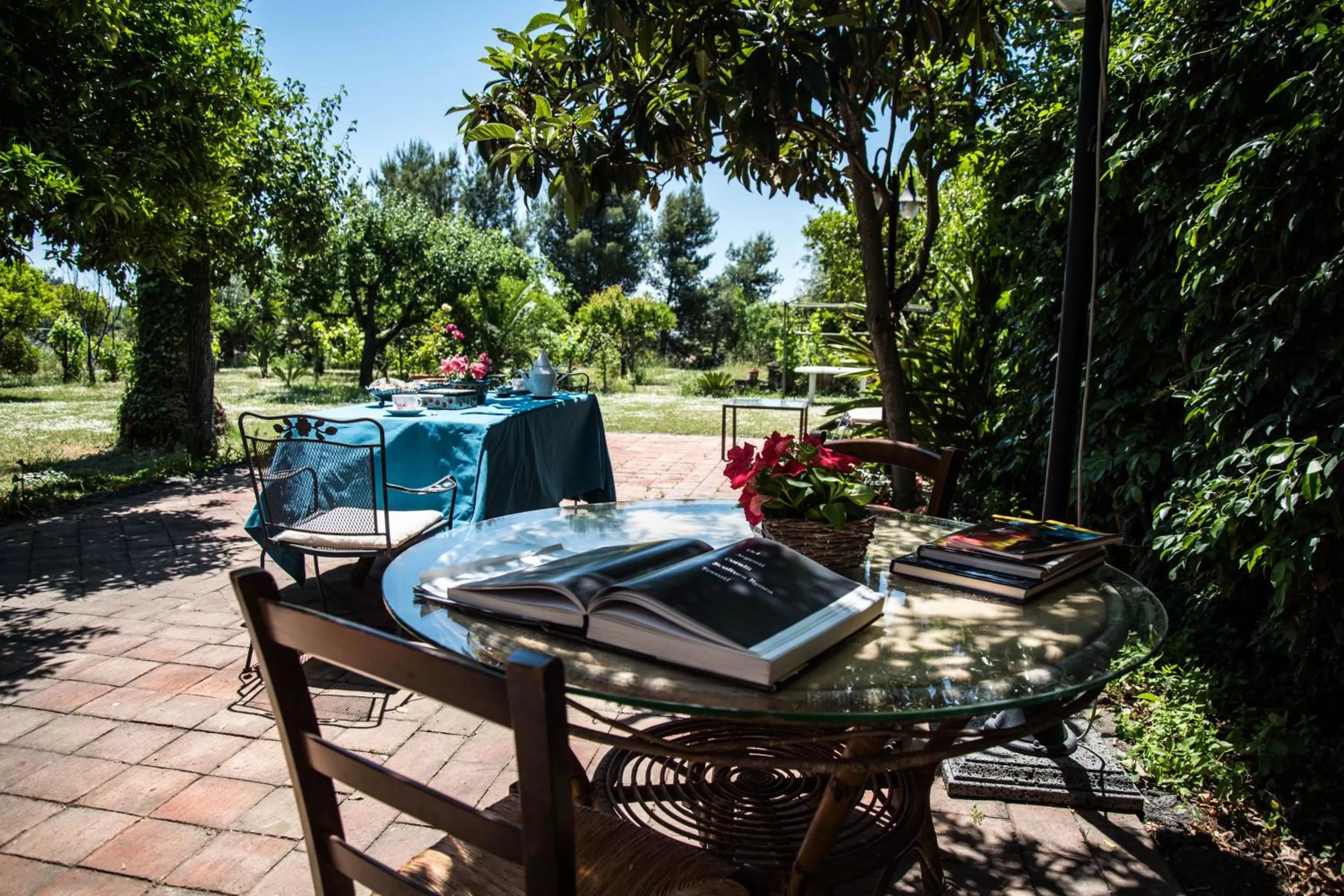 Garden in B&B Valle Allegra