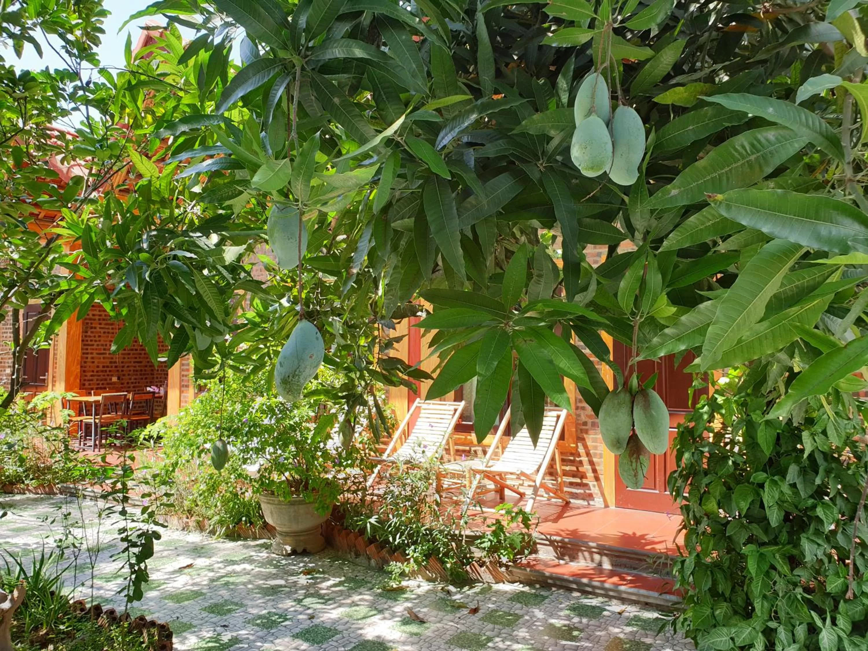 Garden view in Tam Coc Vinh Thinh Homestay