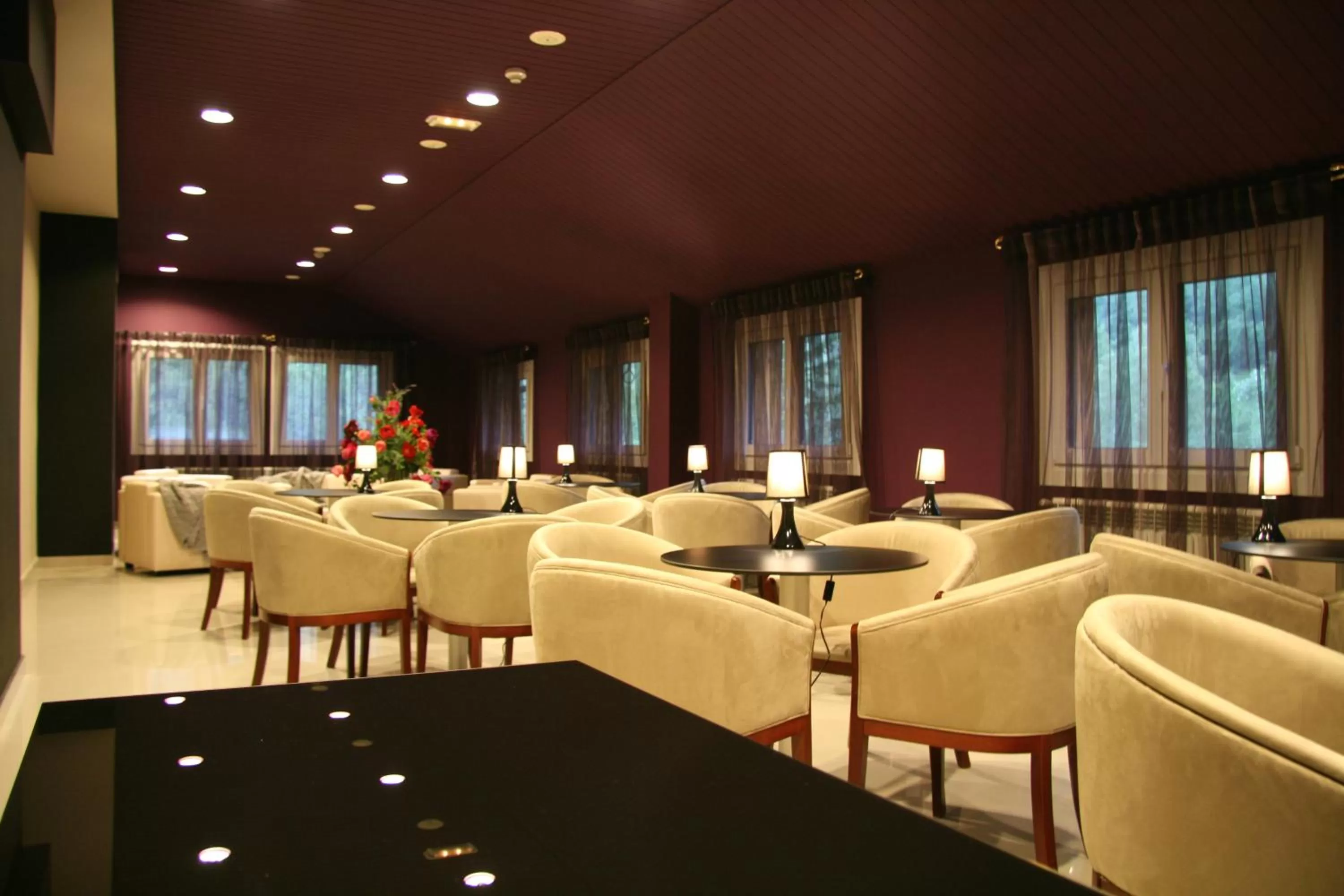 Lounge or bar in Hotel & SPA Bringué