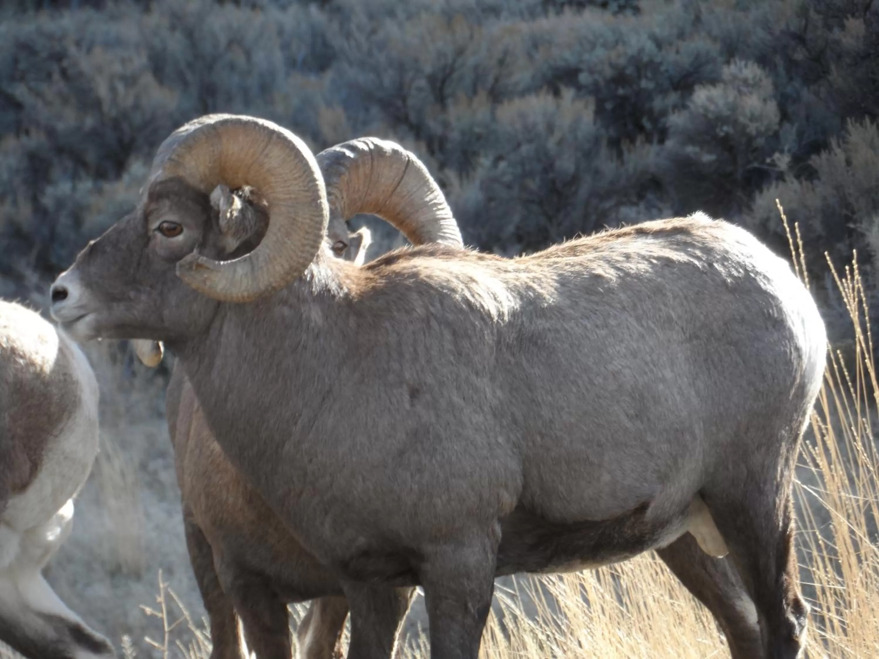 Area and facilities in Super 8 by Wyndham Cody