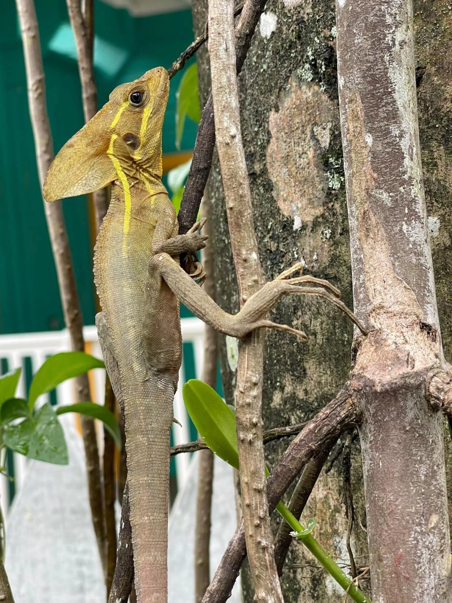 Natural landscape, Other Animals in RIVA B&B