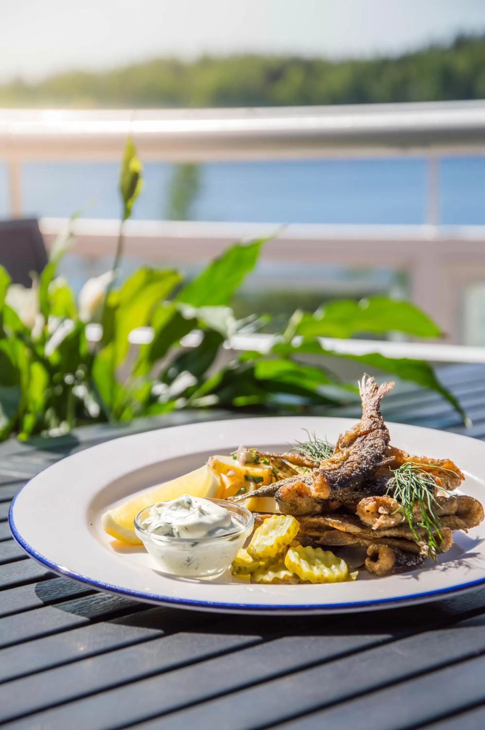 Restaurant/places to eat in Spa Hotel Kunnonpaikka