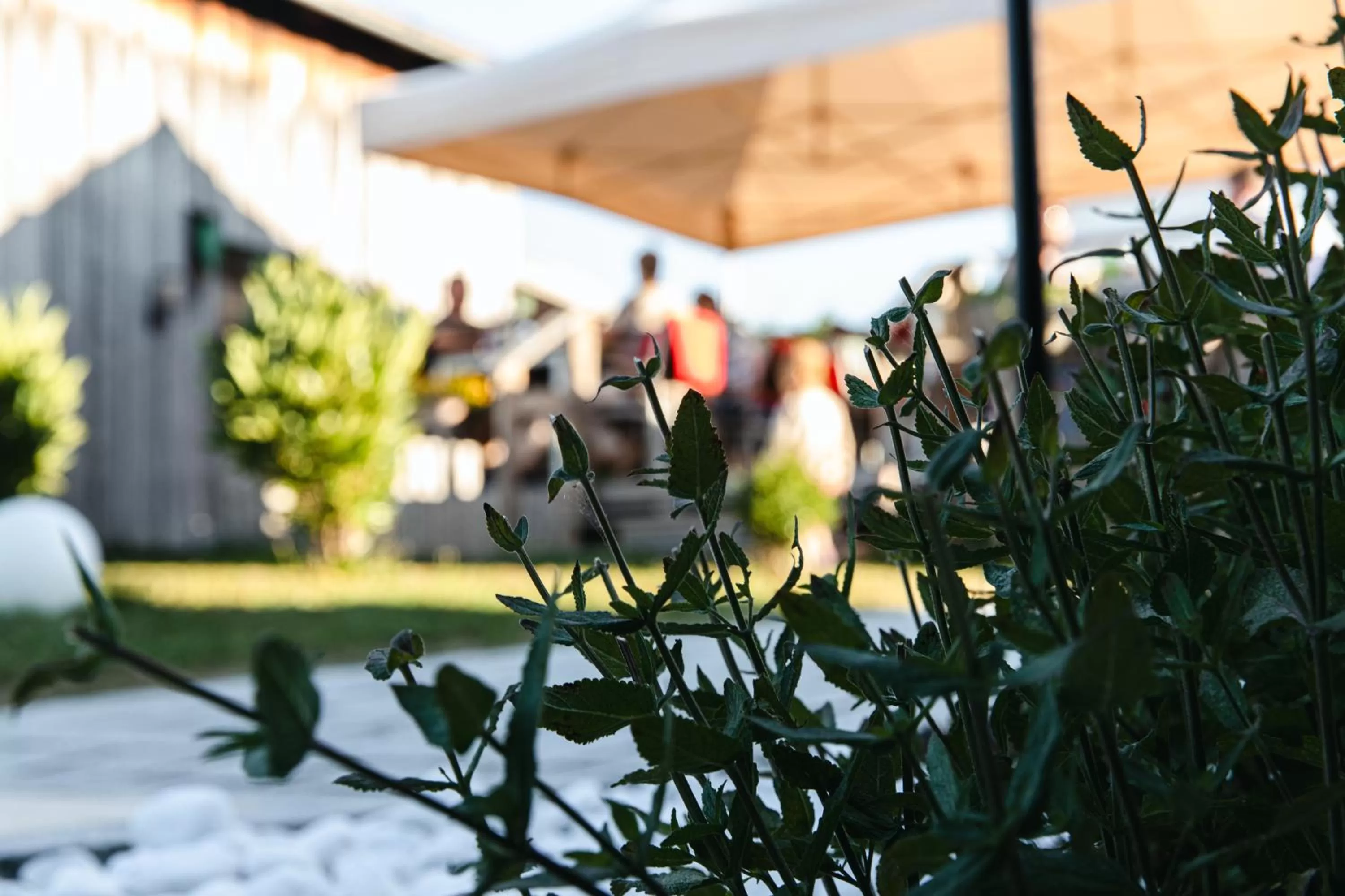 Garden in Genusshotel Hohenbogen