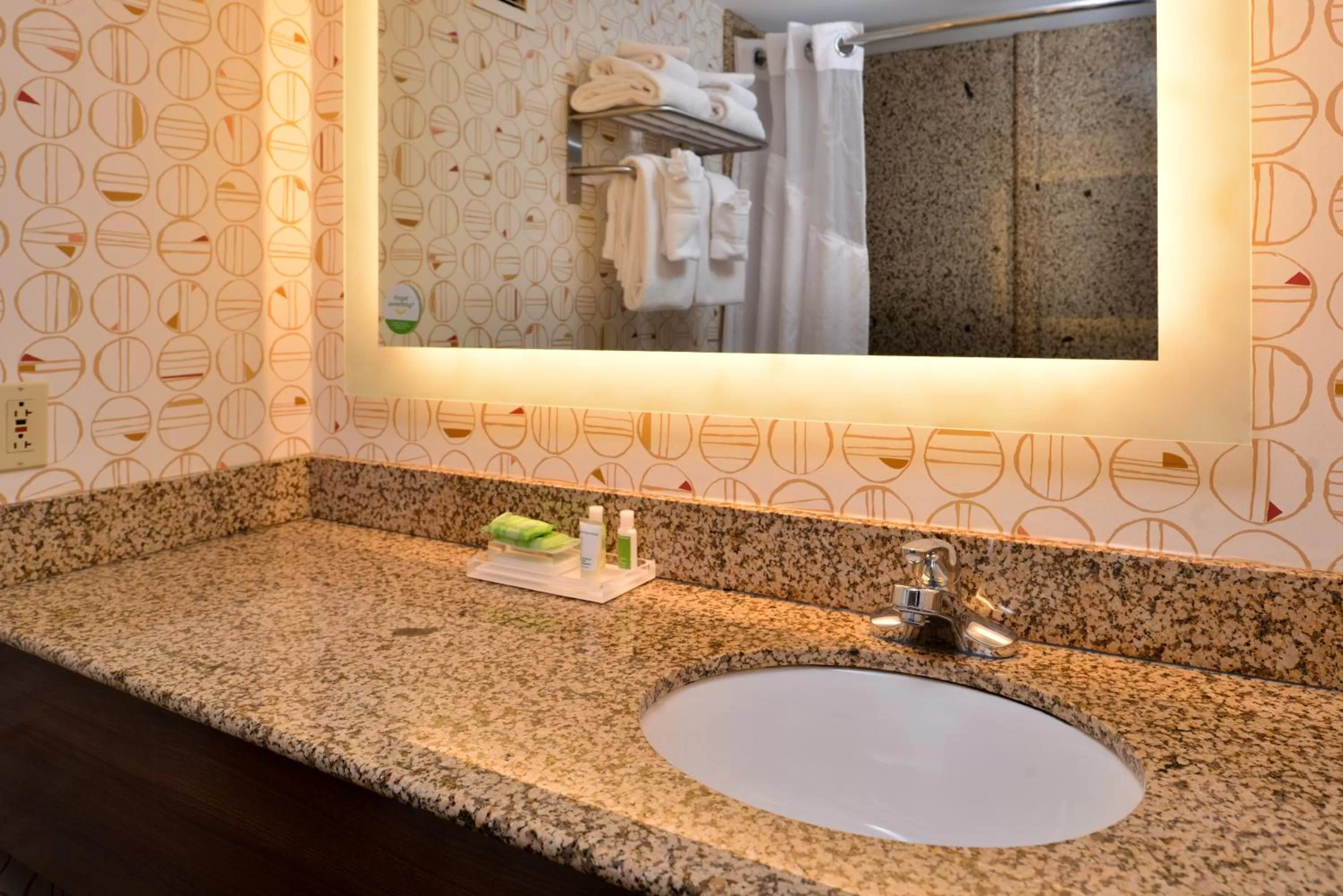 Bathroom in Holiday Inn Hotel & Suites Rochester - Marketplace by IHG