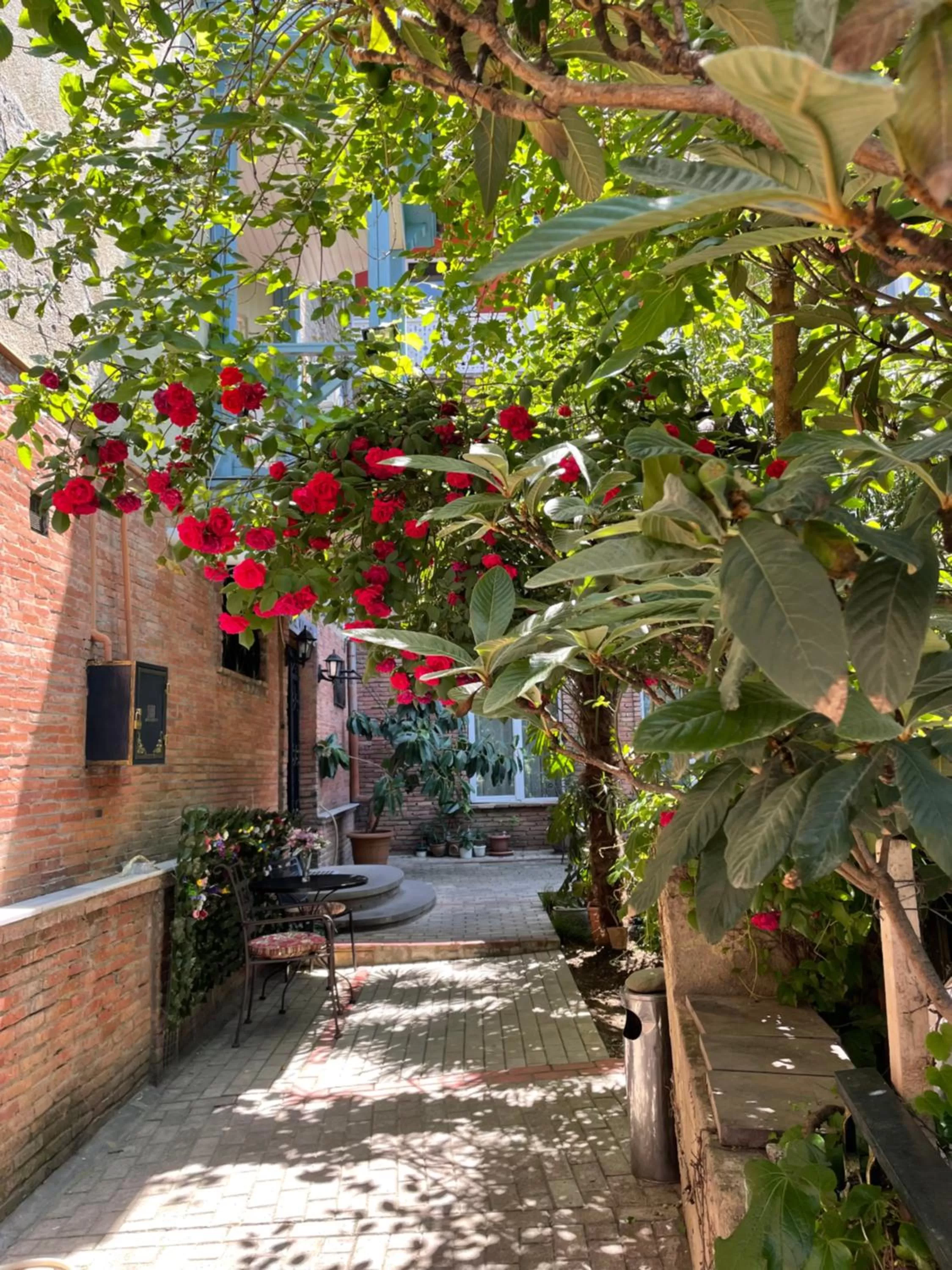Garden in Hotel Kalanga