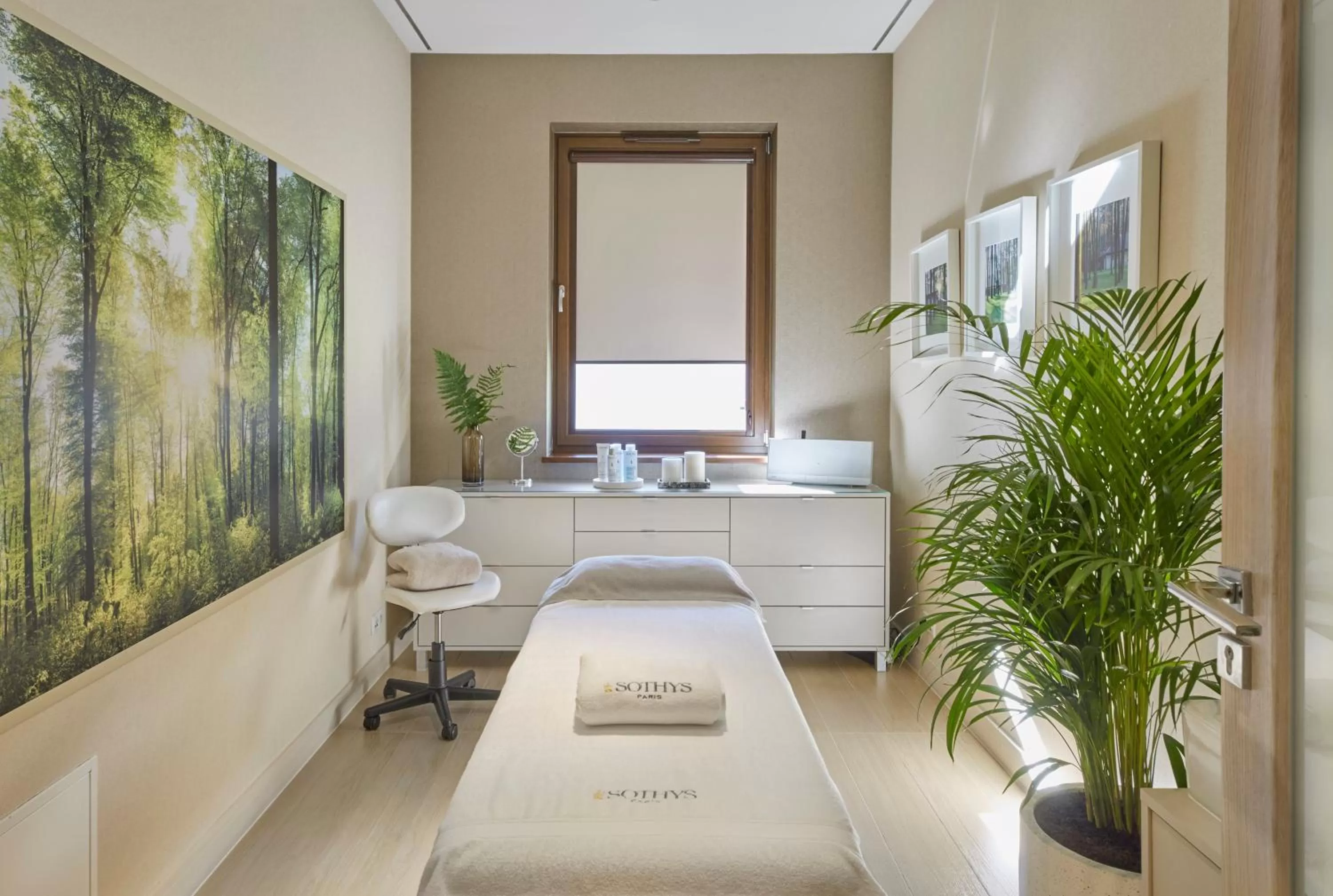 Spa and wellness centre/facilities, Bed in Columna Medica