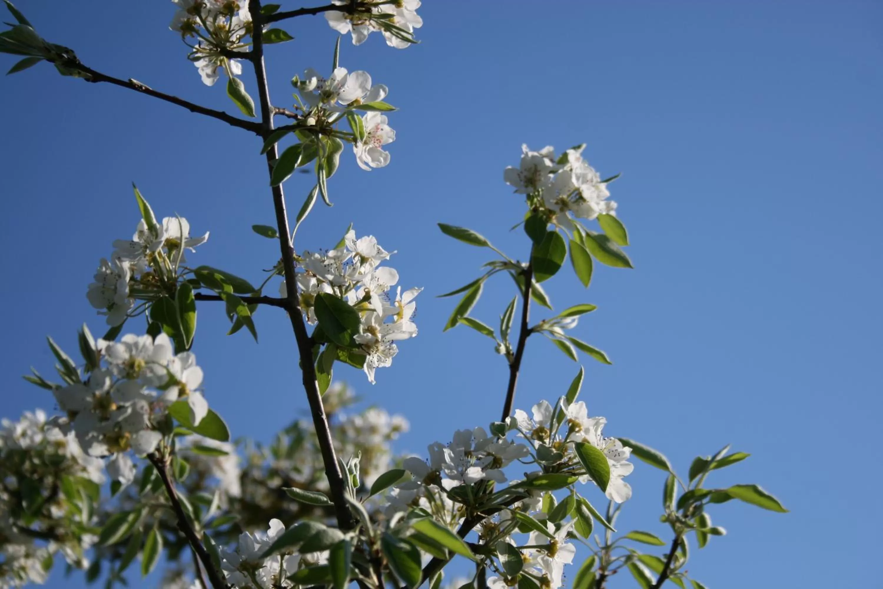 Decorative detail in B&B Il Giardino di Gabri