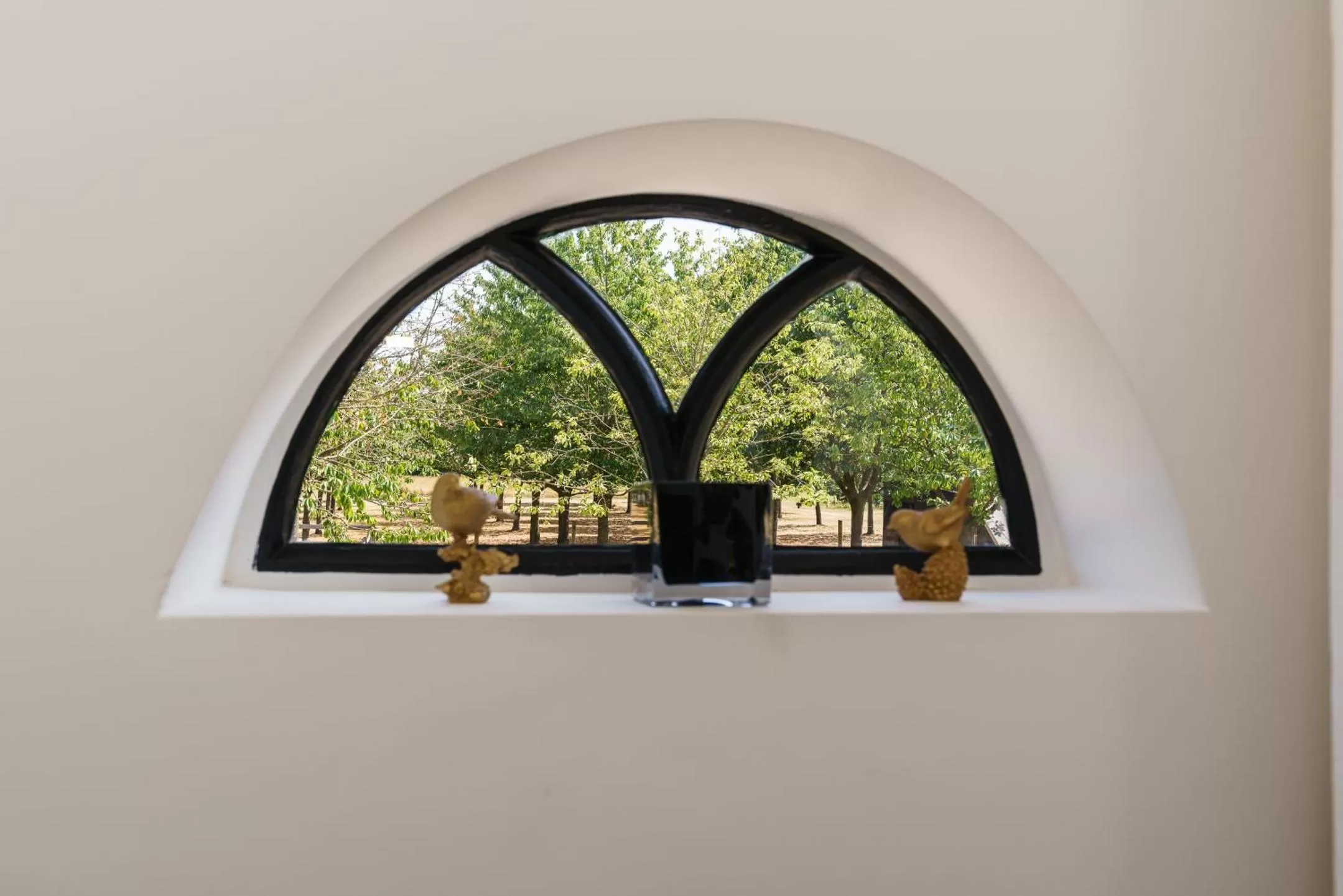 Garden view in De Oosterling