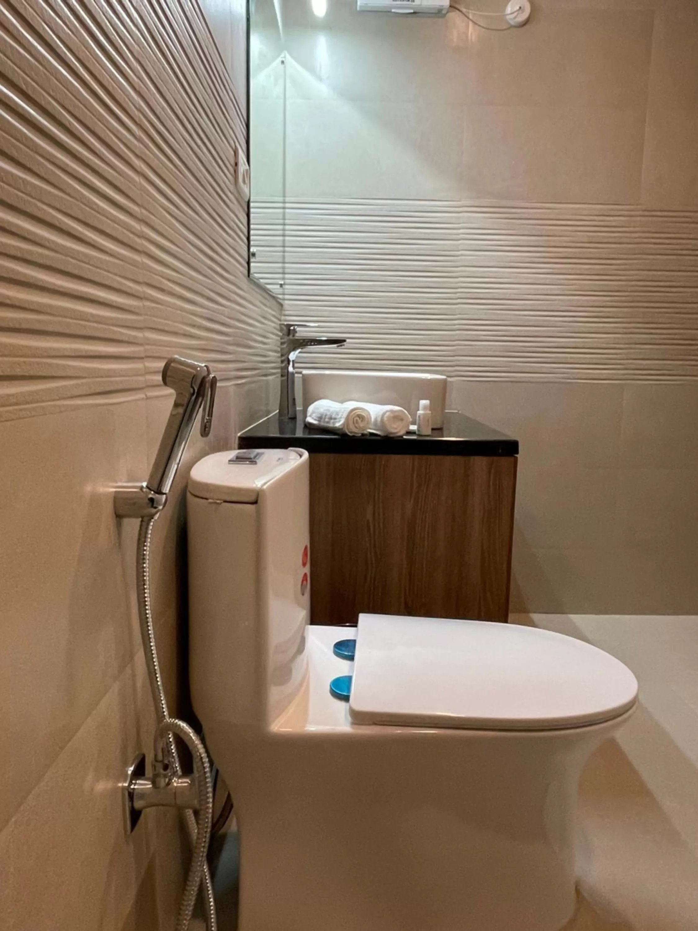 Toilet in The Edgeworth