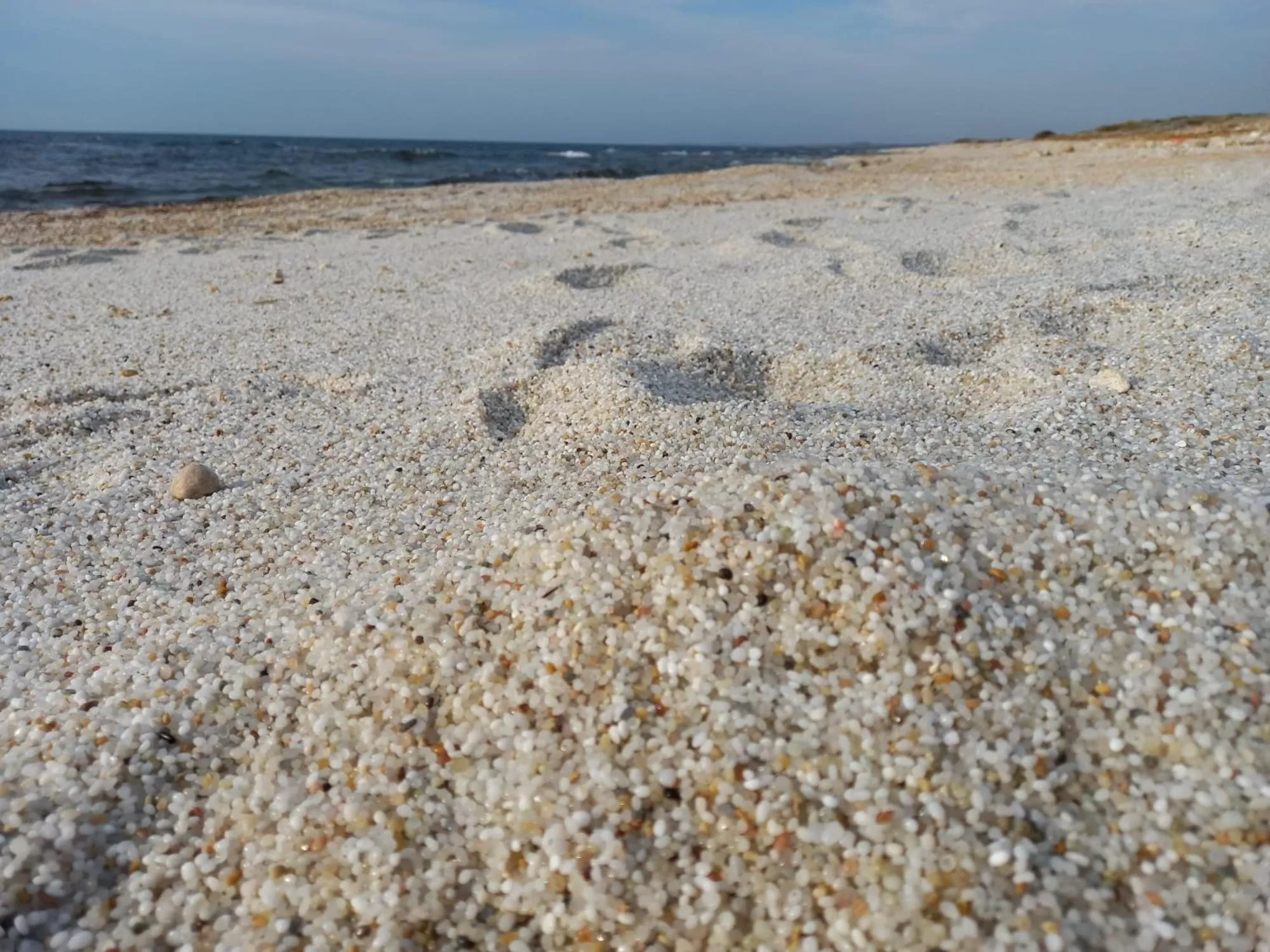 Beach in Bed & Breakfast Paui