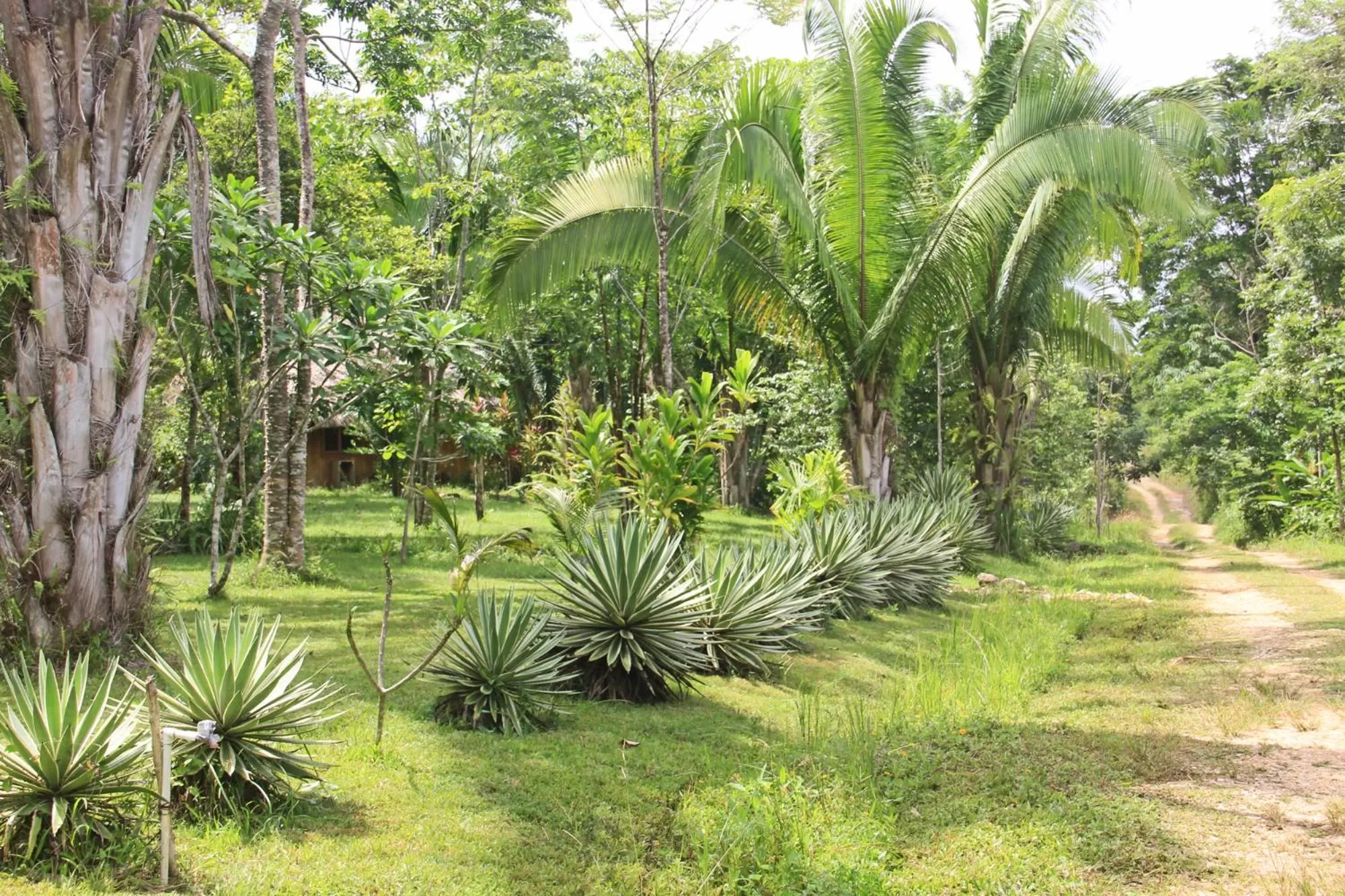 Garden in Sun Creek Lodge