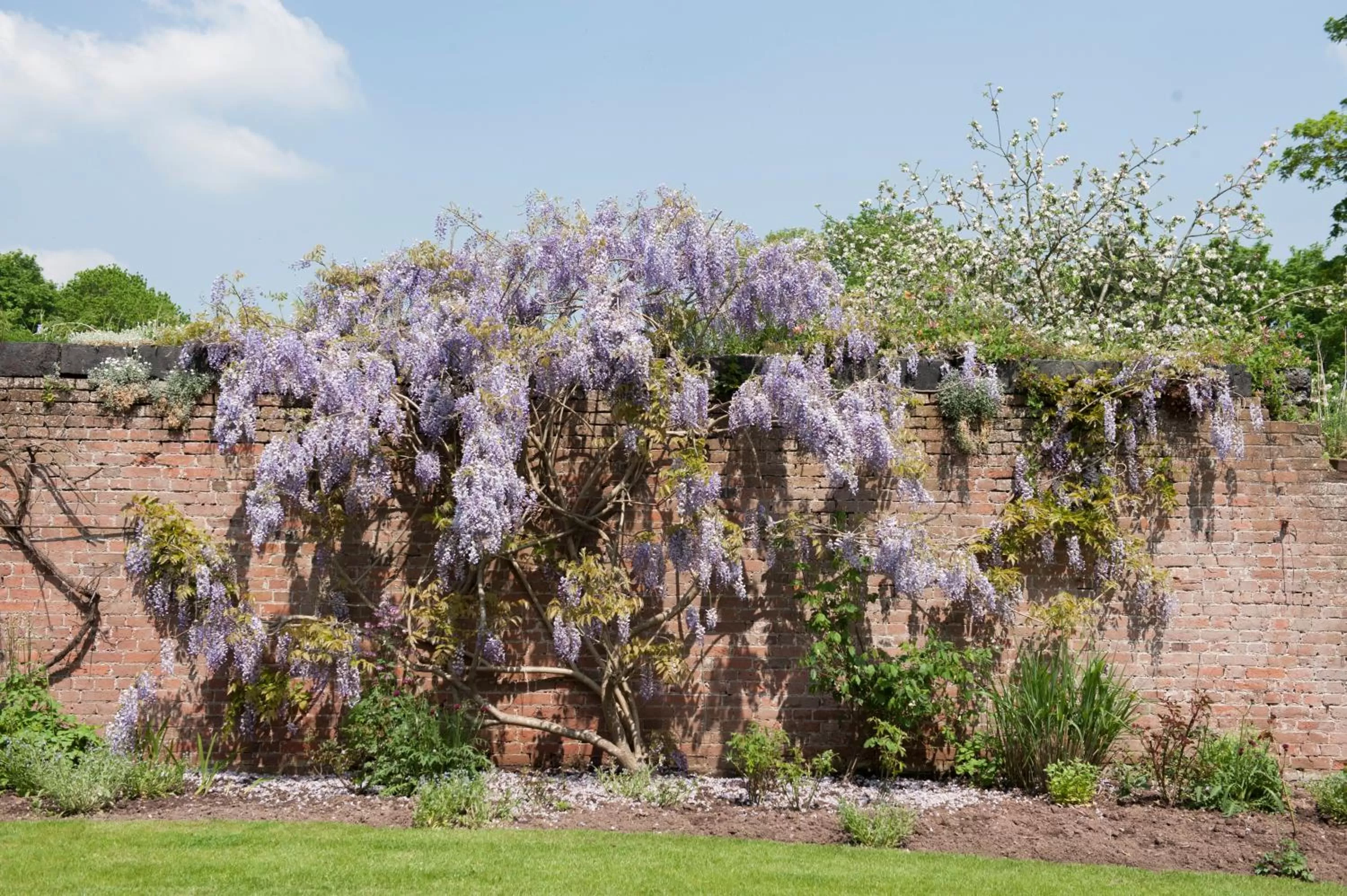 Day, Garden in The Bridge House