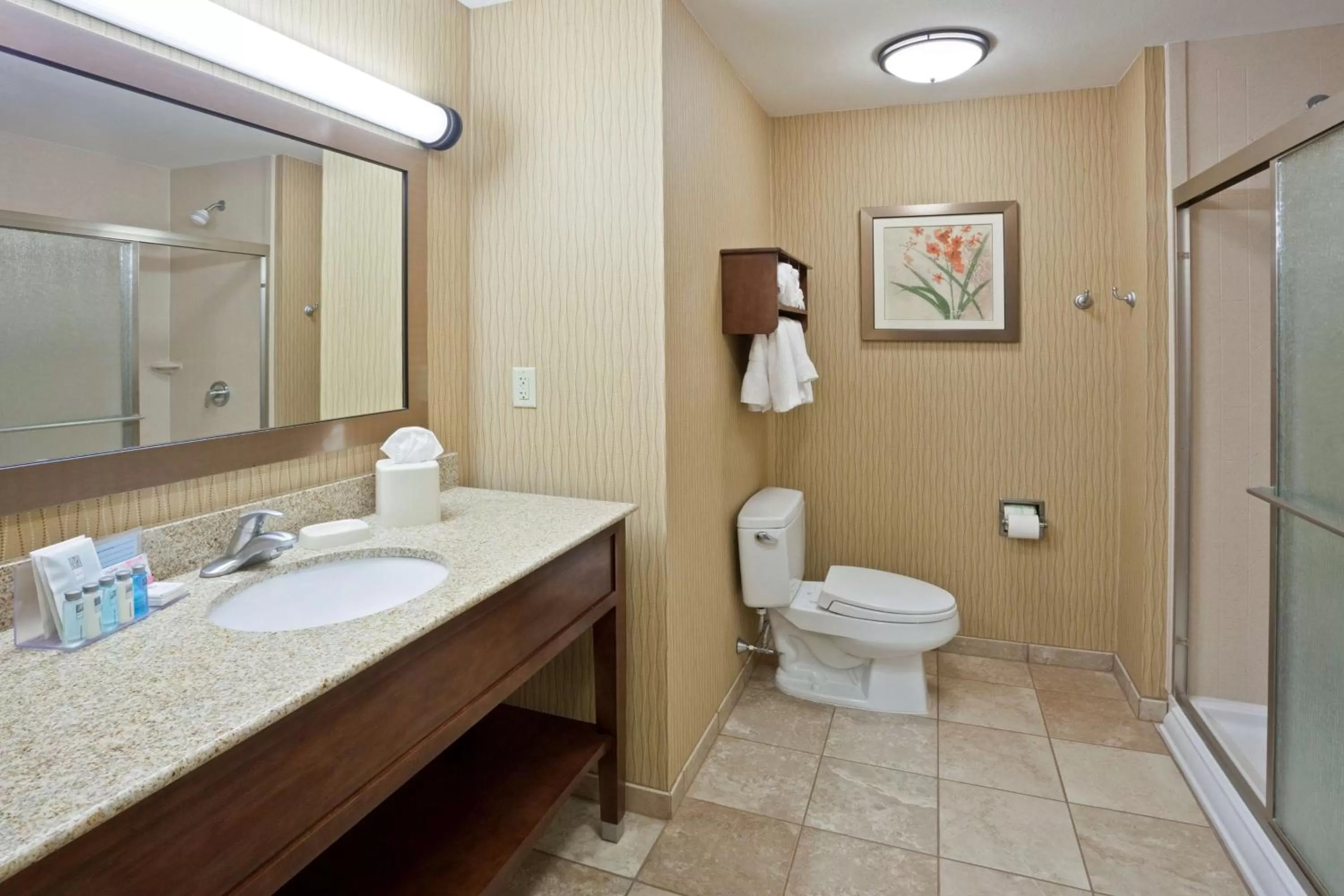 Bathroom in Hampton Inn Matamoras