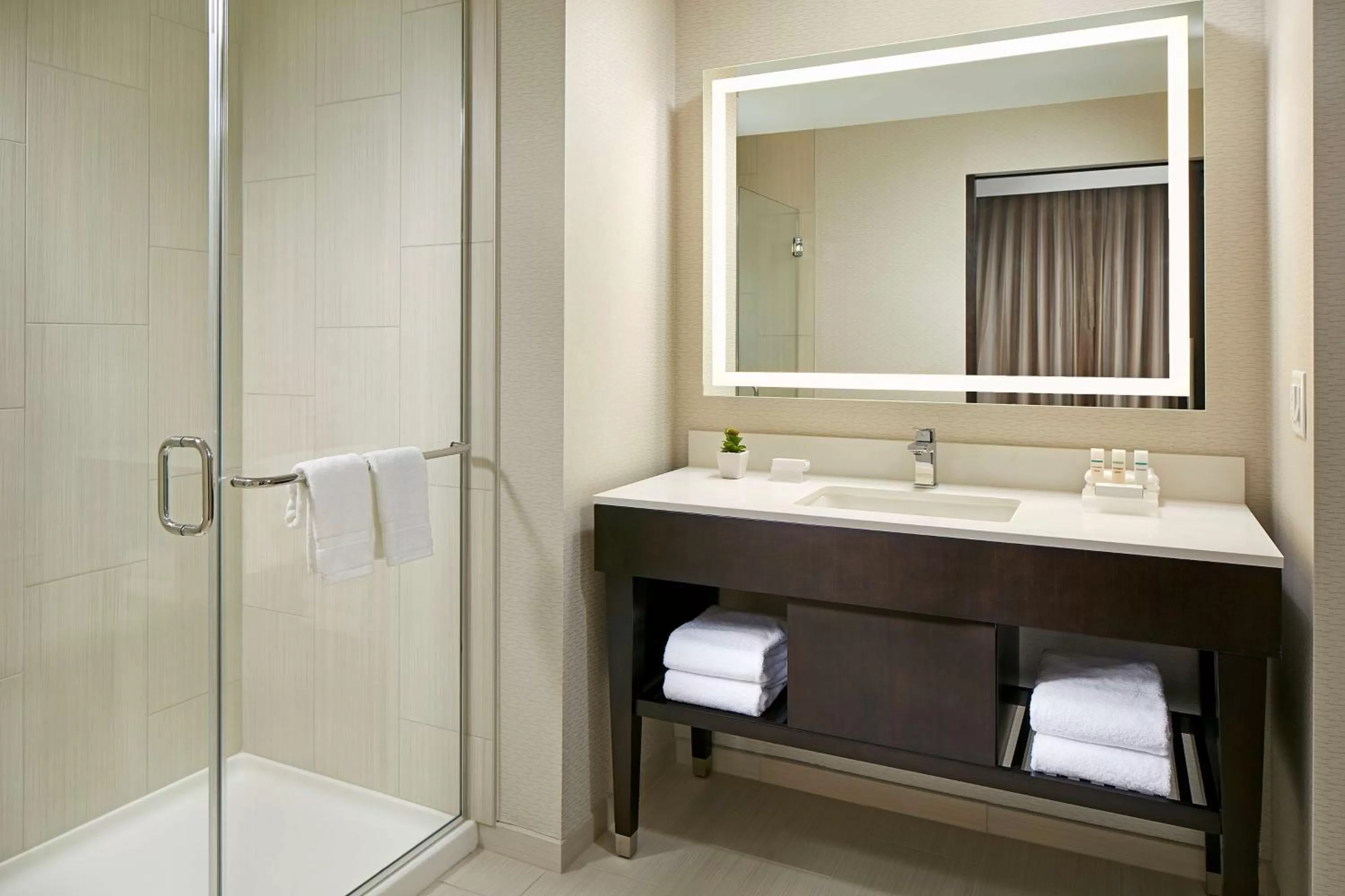 Bathroom in Homewood Suites by Hilton San Diego Downtown/Bayside