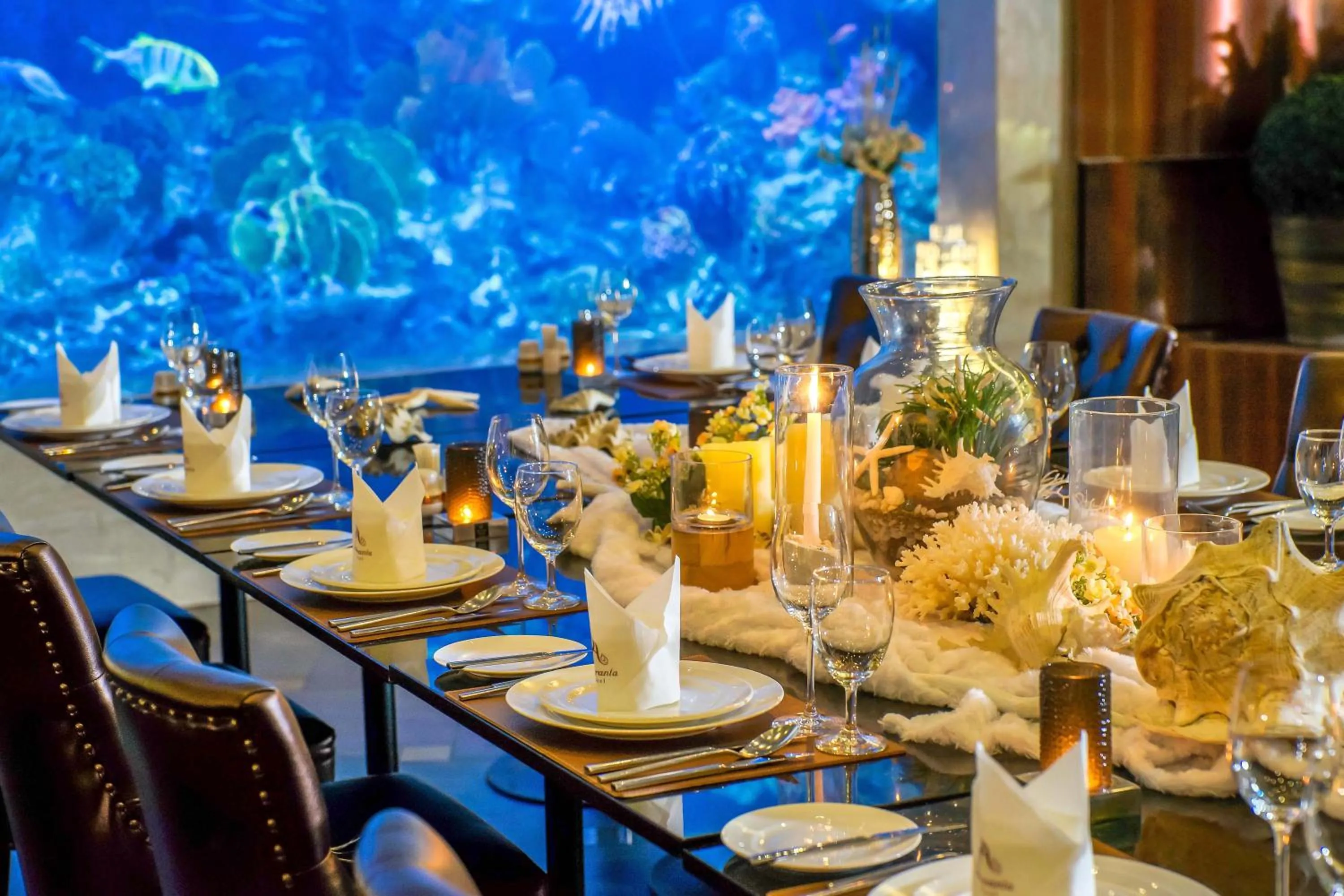 Restaurant/places to eat in Amaranta Hotel