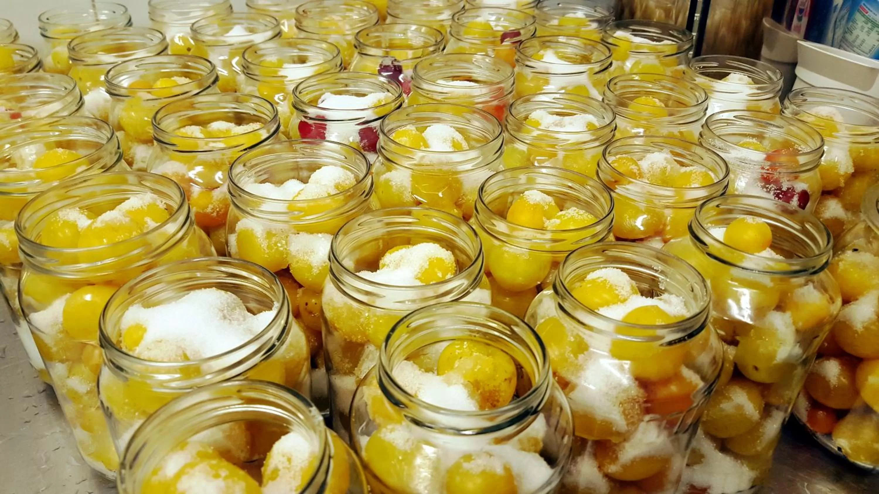 Restaurant/places to eat in Rezydencja 5 Dębów