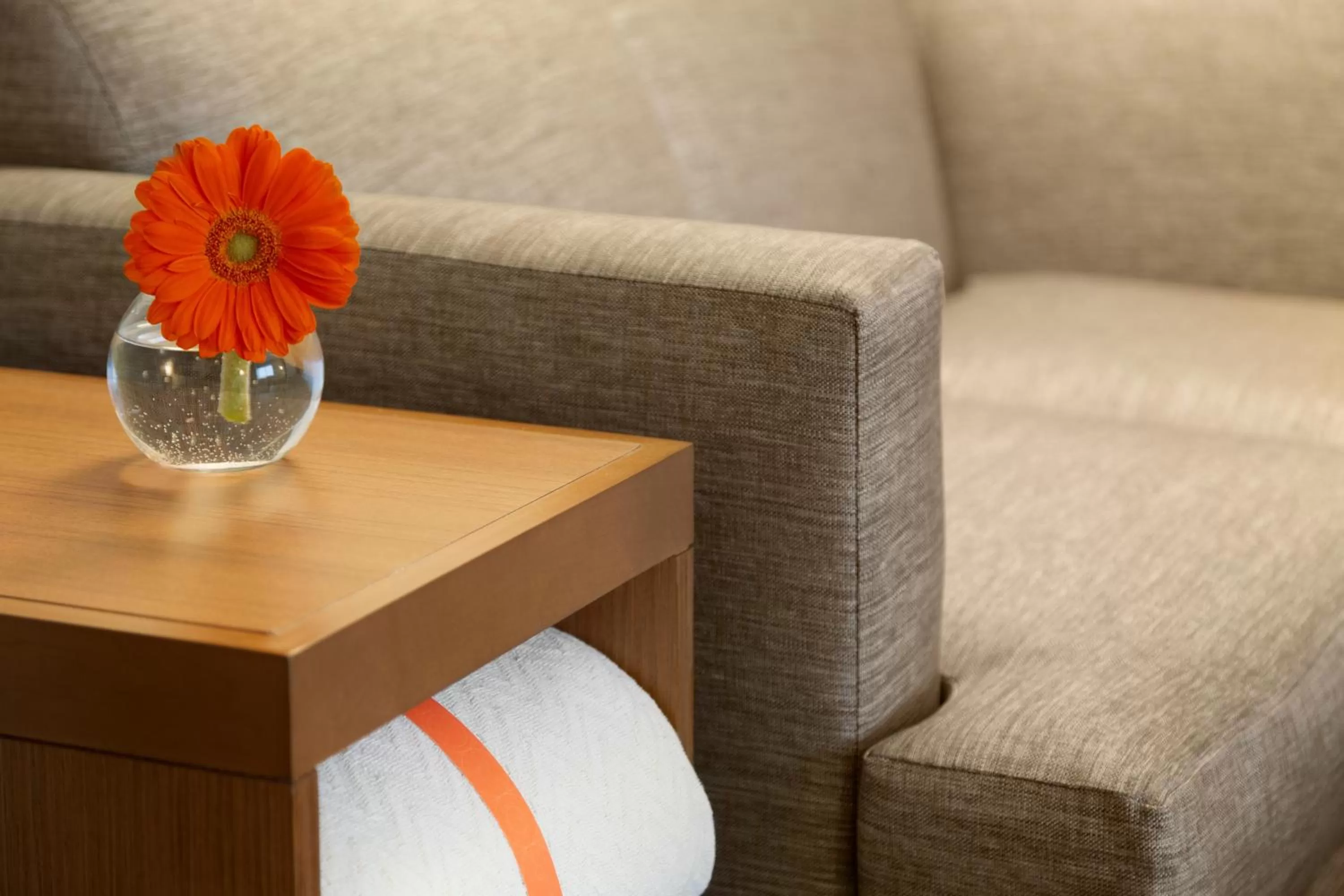 King Room with Sofa Bed and Accessible Tub - Disability Access in Hyatt Place Niagara Falls