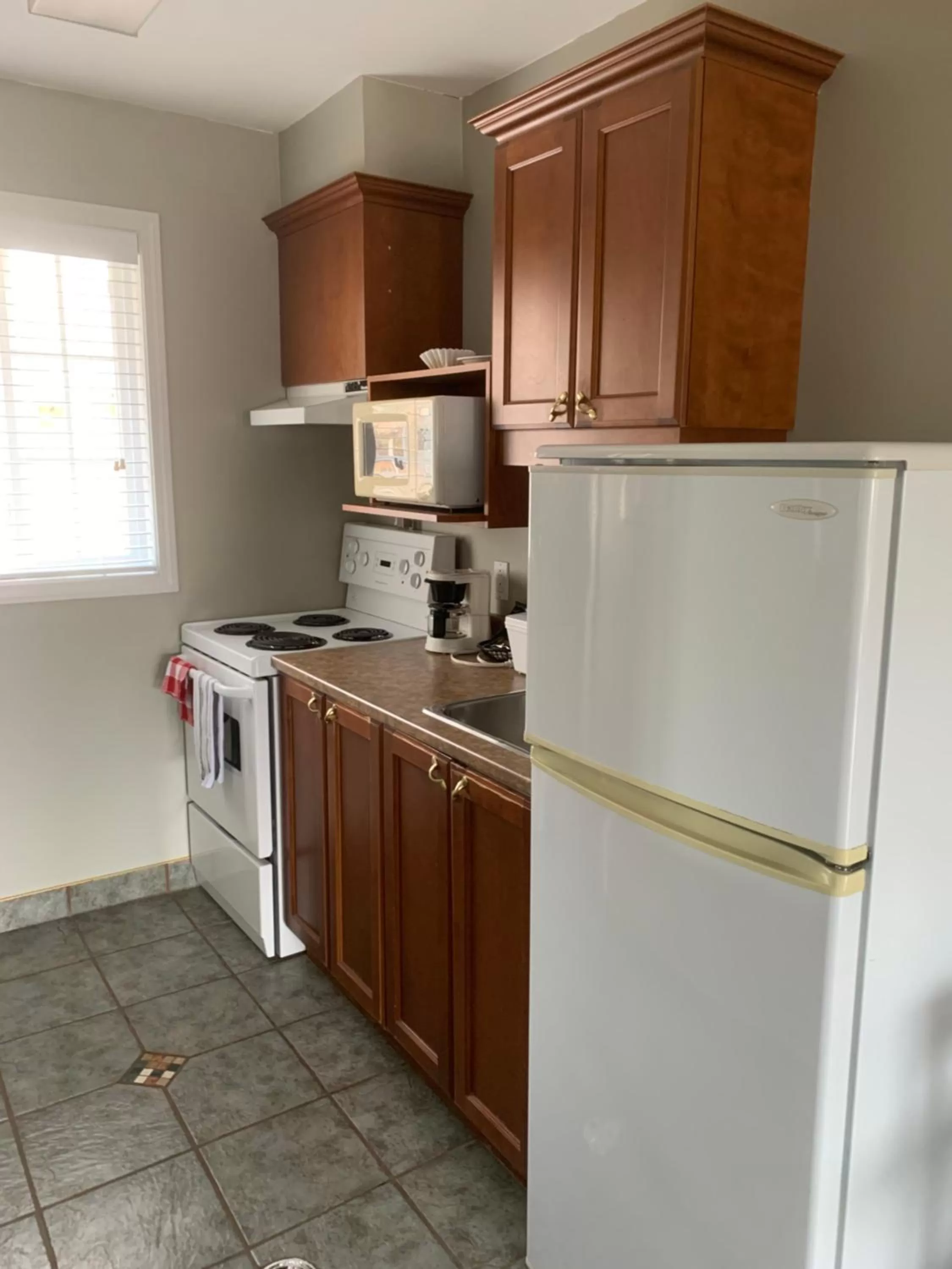 Communal kitchen in Hotel and Suites Les Laurentides