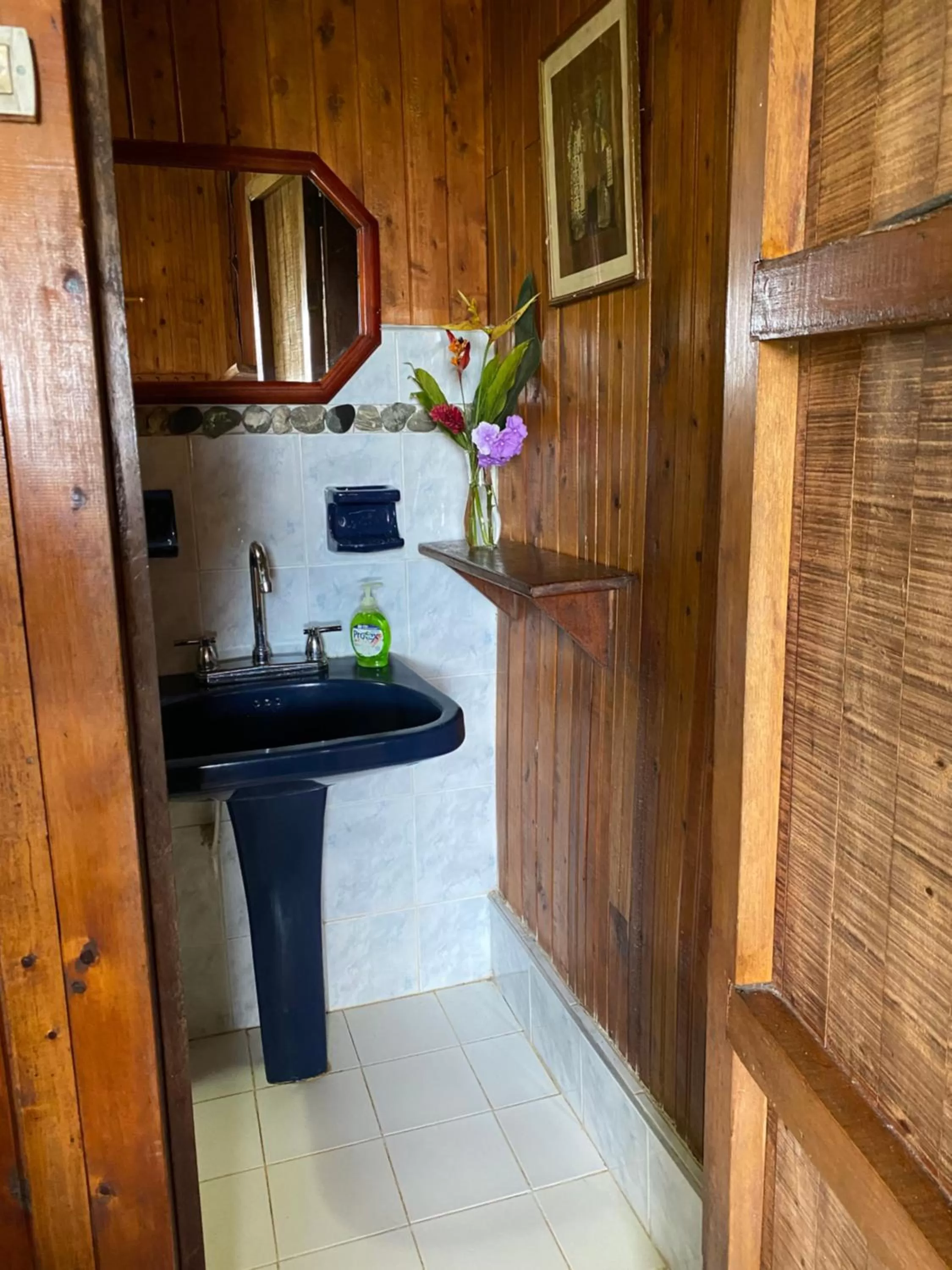 Bathroom in Posada Turística Rocas De Cabo Marzo