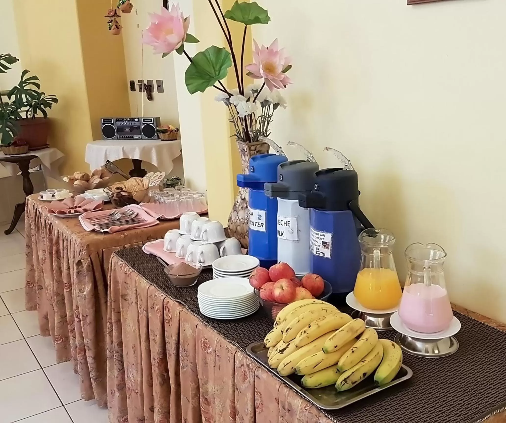 Continental breakfast in Hotel Nuevo Sol