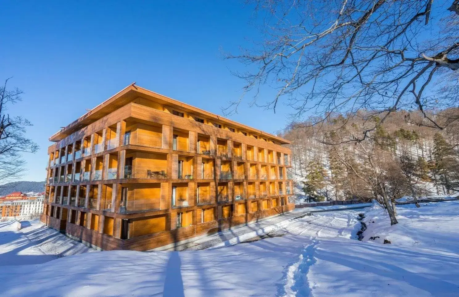 Triple Room with Mountain View in Bakuriani the Valley 115 - 202 Triple Room with Mountain View in Bakuriani the Valley 115 - 202